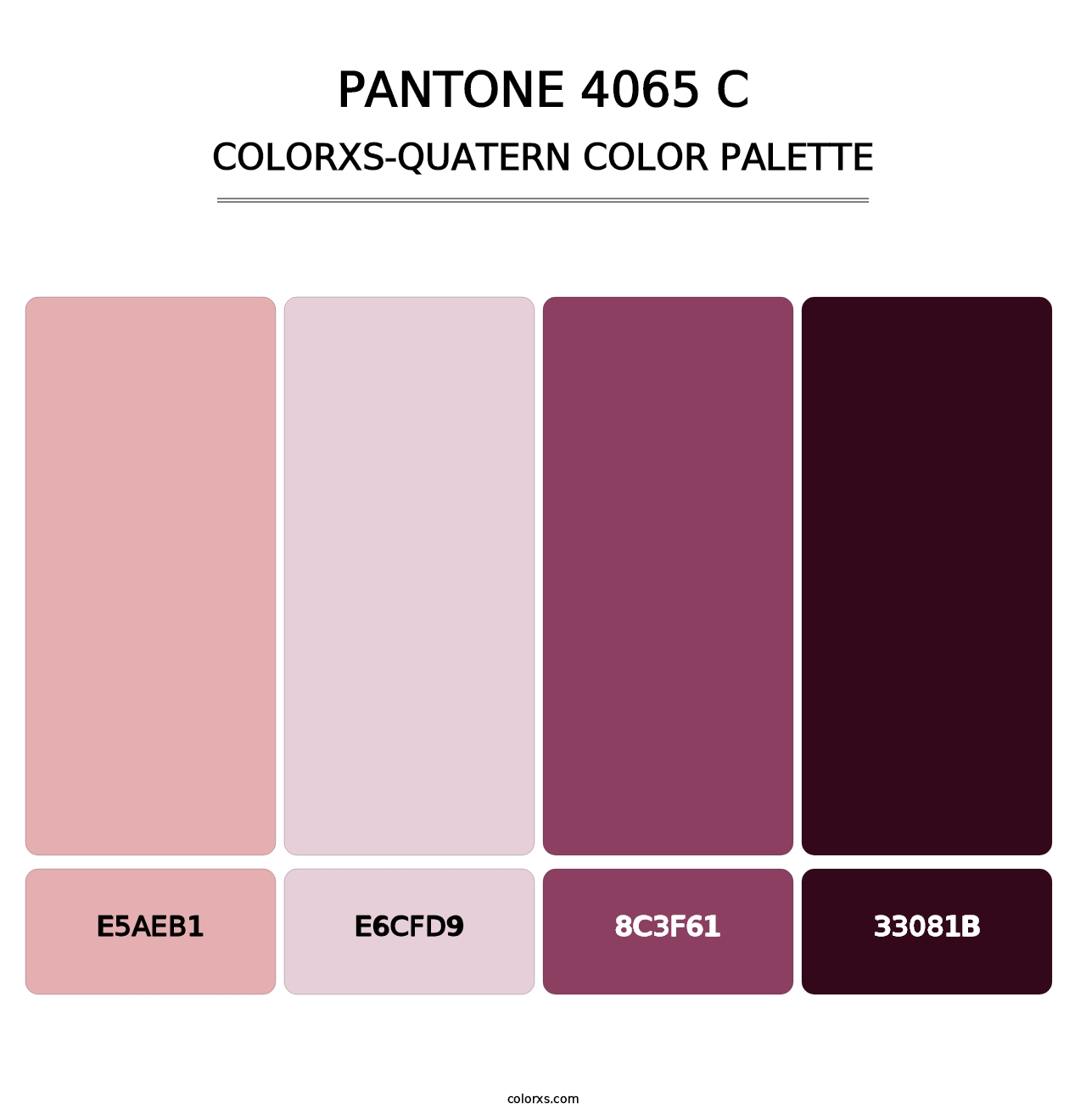 PANTONE 4065 C - Colorxs Quatern Palette