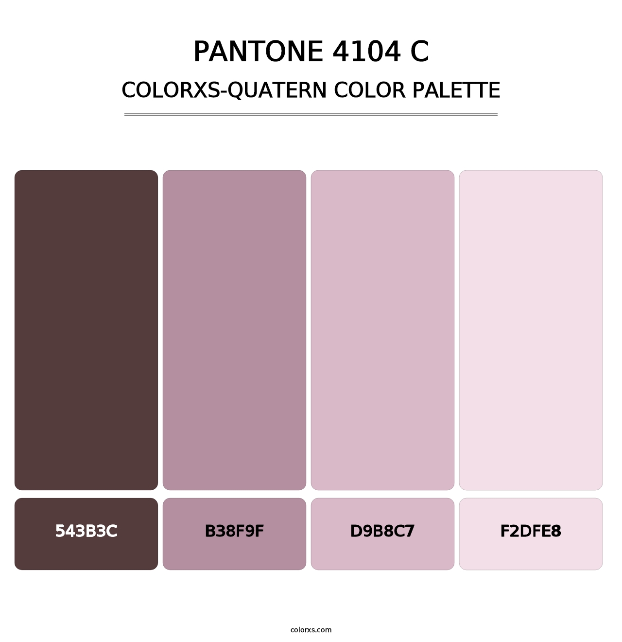 PANTONE 4104 C - Colorxs Quatern Palette