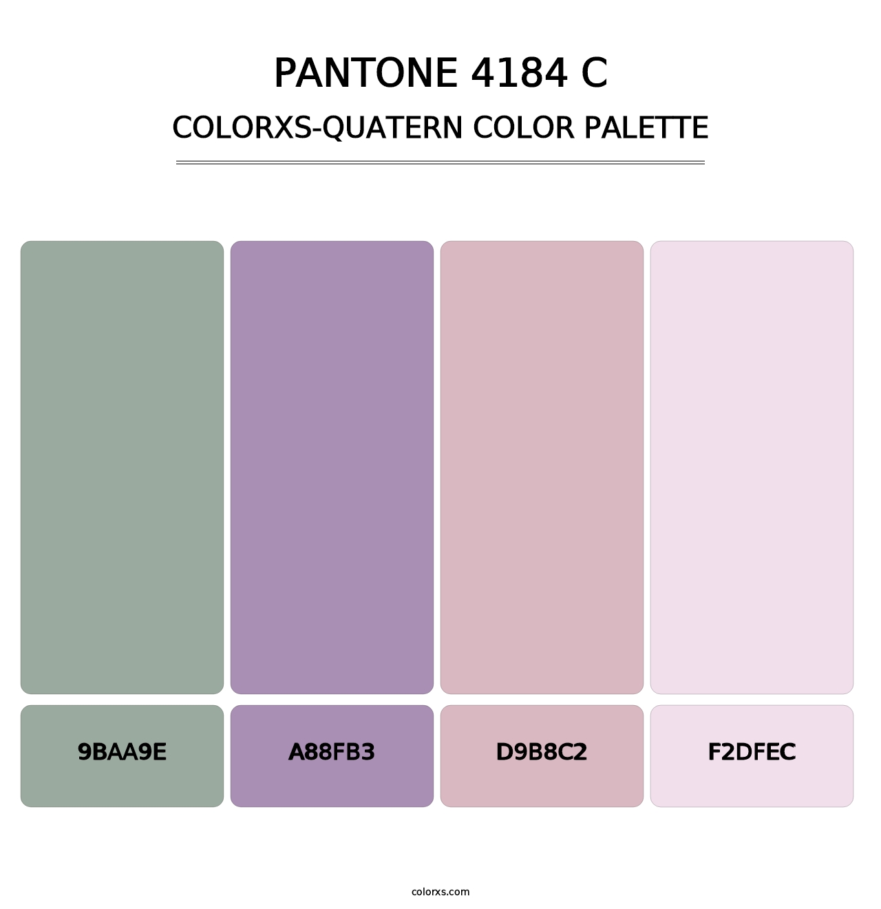 PANTONE 4184 C - Colorxs Quatern Palette