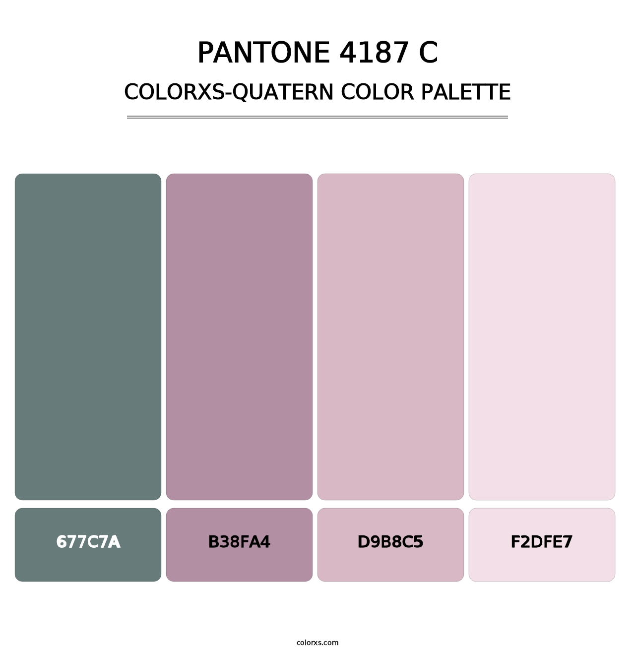 PANTONE 4187 C - Colorxs Quatern Palette