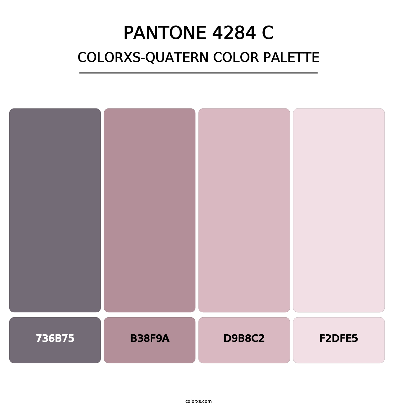 PANTONE 4284 C - Colorxs Quatern Palette