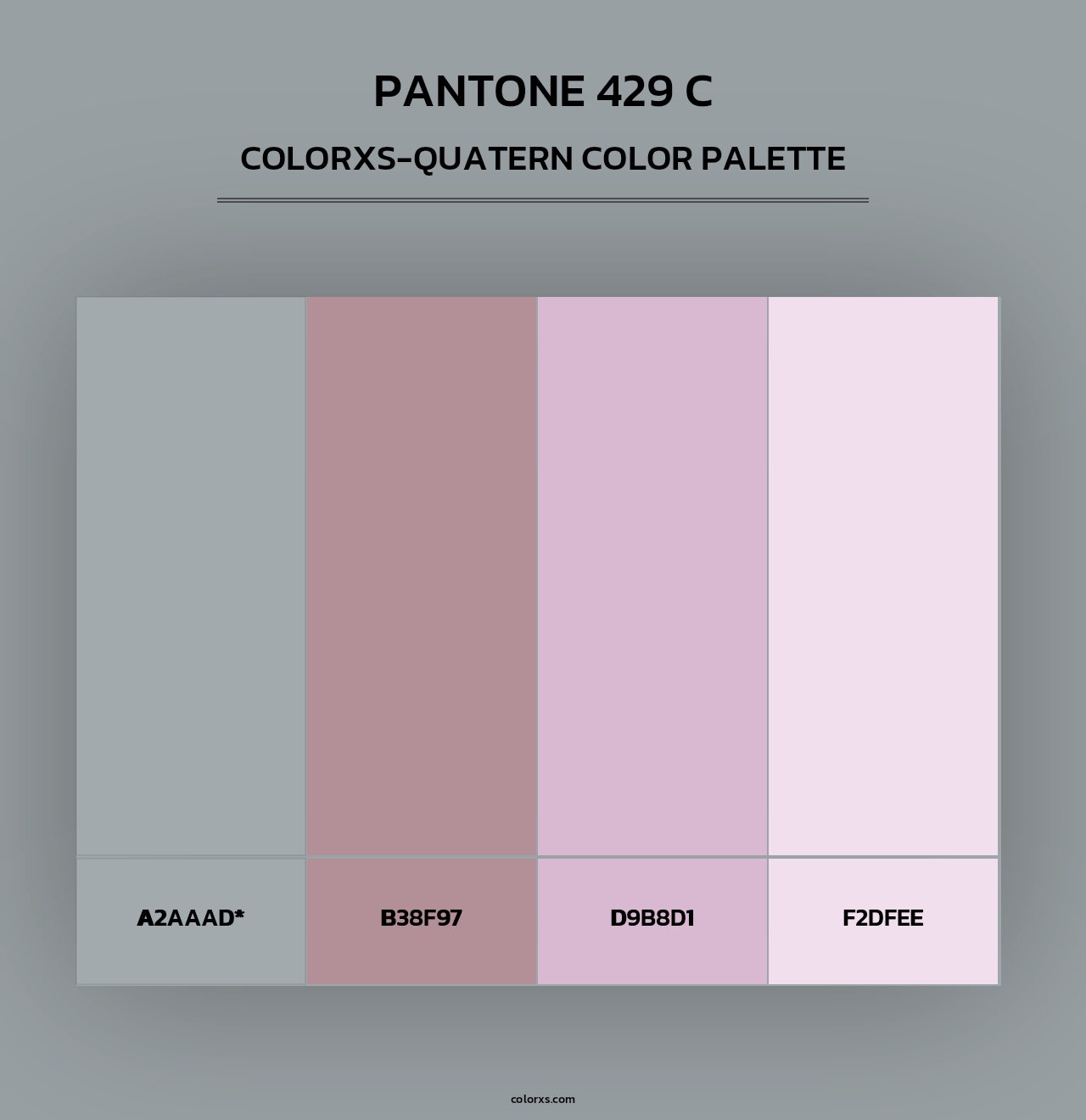 PANTONE 429 C - Colorxs Quad Palette