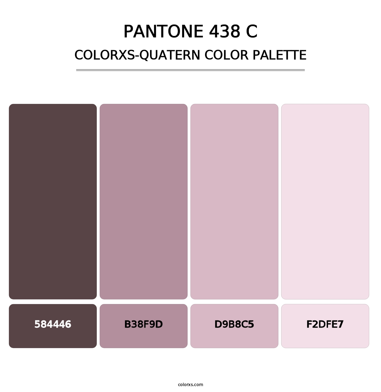 PANTONE 438 C - Colorxs Quatern Palette