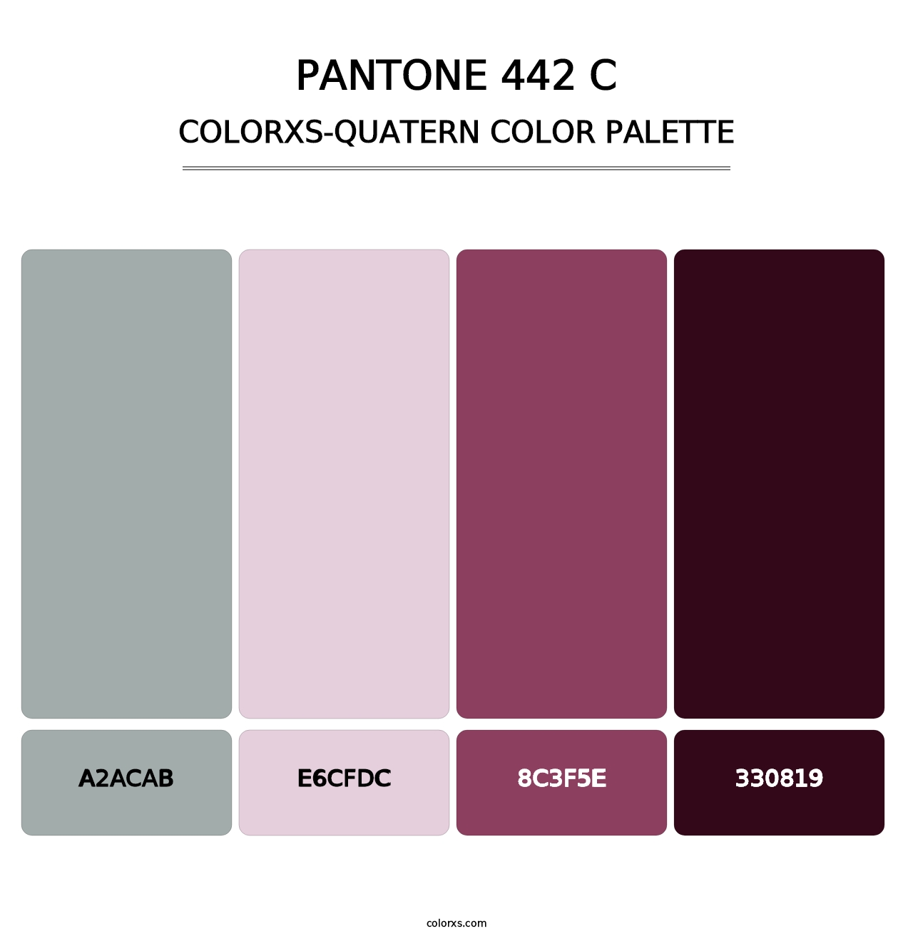 PANTONE 442 C - Colorxs Quatern Palette