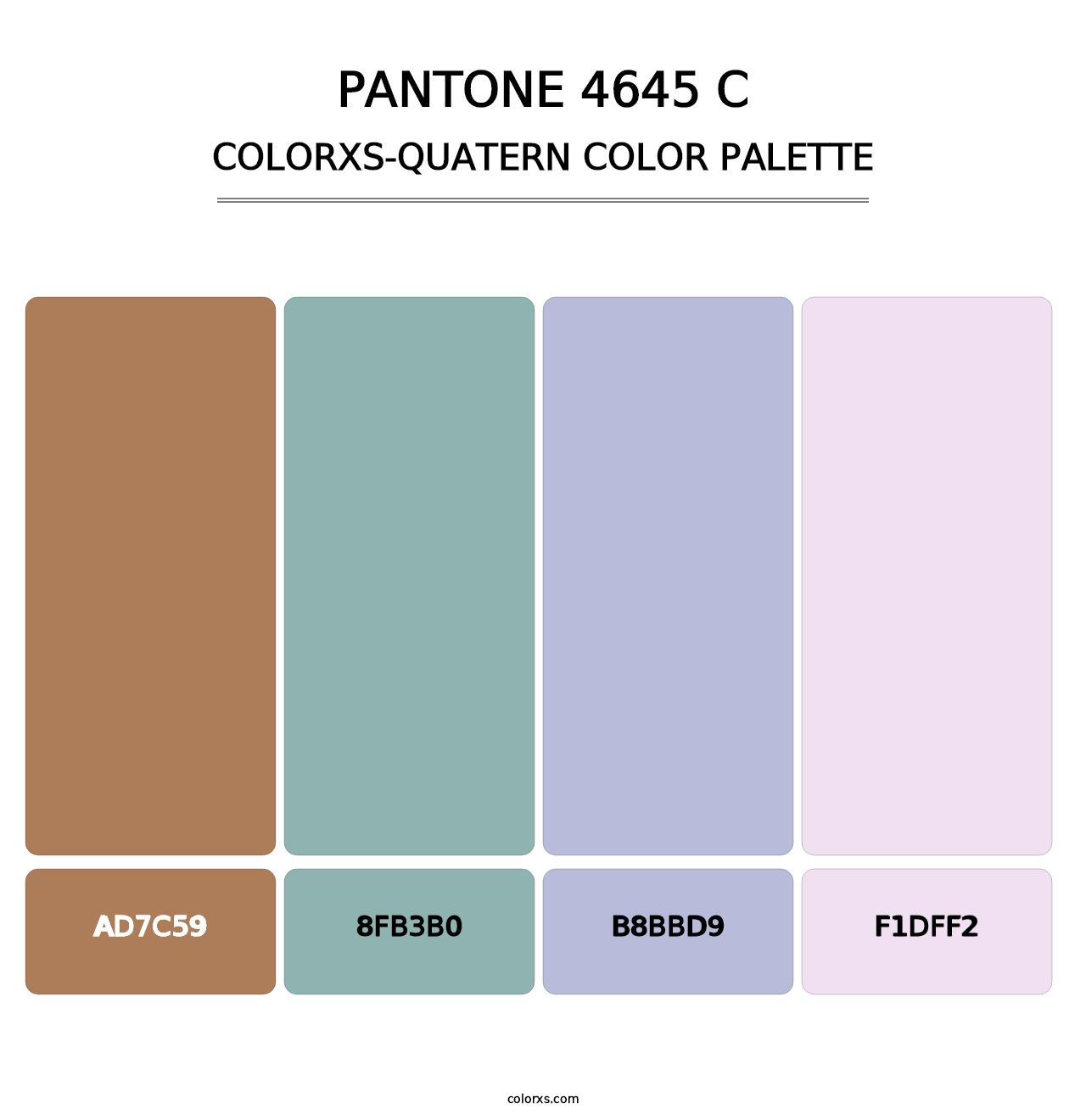 PANTONE 4645 C - Colorxs Quatern Palette