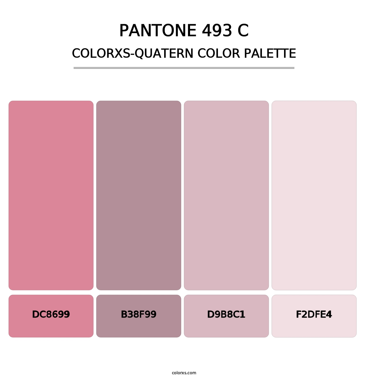 PANTONE 493 C - Colorxs Quatern Palette