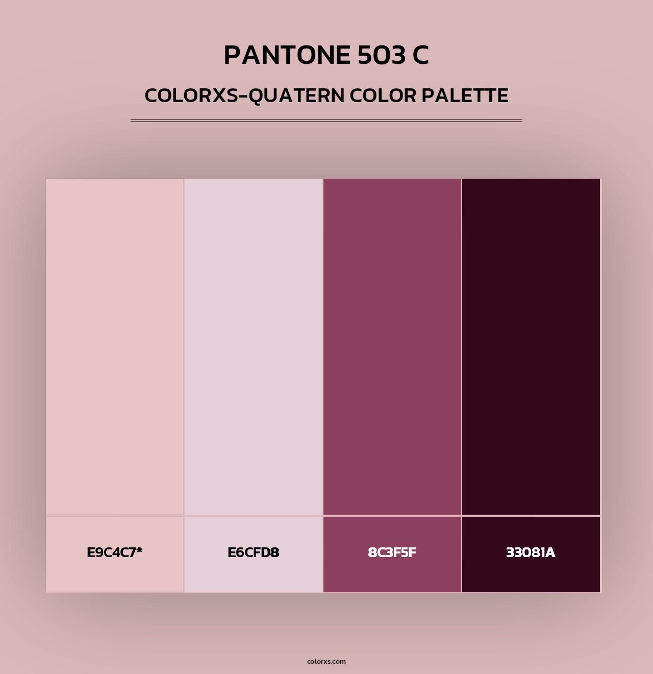 PANTONE 503 C - Colorxs Quad Palette