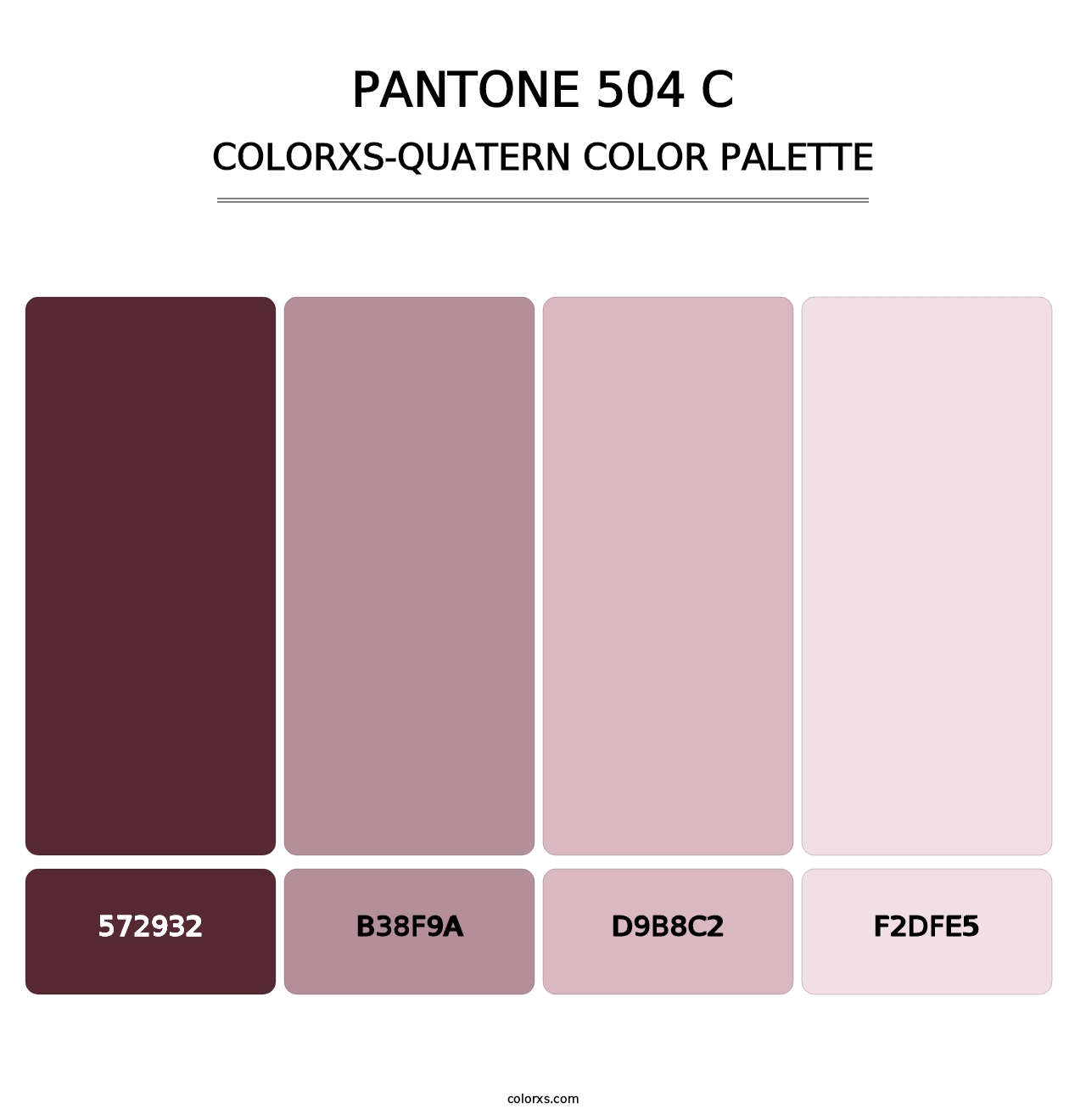 PANTONE 504 C - Colorxs Quatern Palette