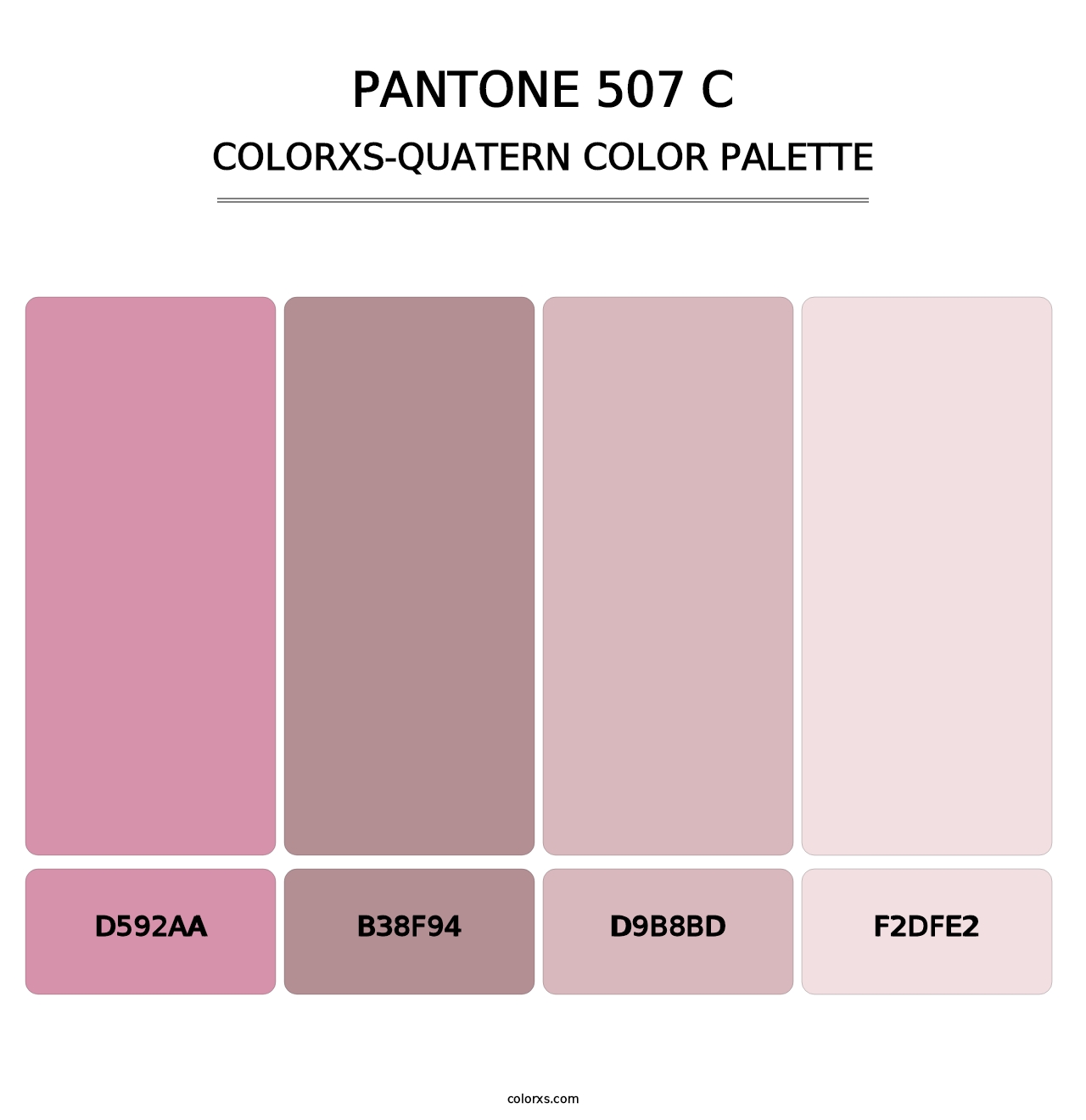 PANTONE 507 C - Colorxs Quatern Palette