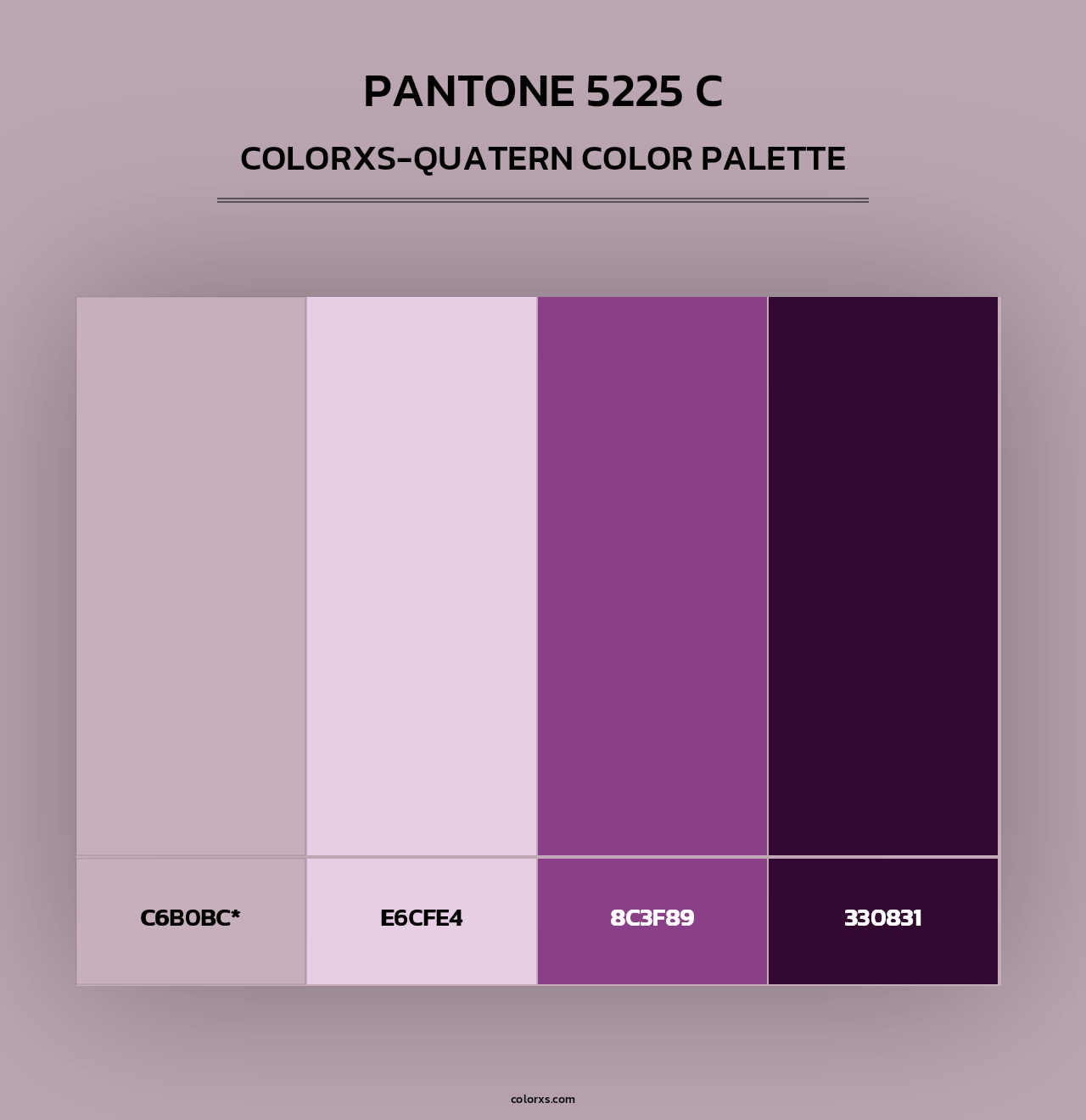 PANTONE 5225 C - Colorxs Quad Palette