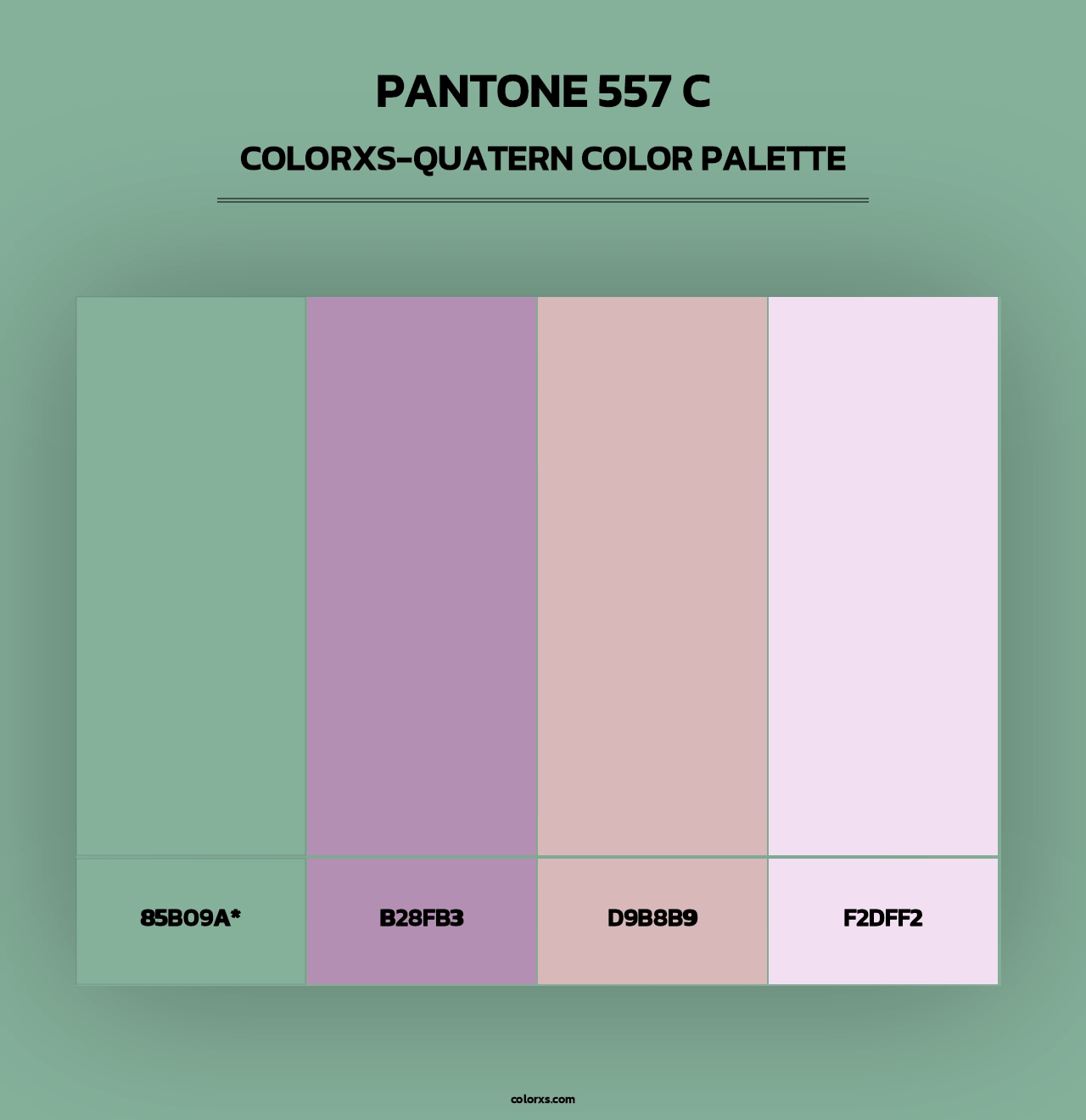 PANTONE 557 C - Colorxs Quad Palette