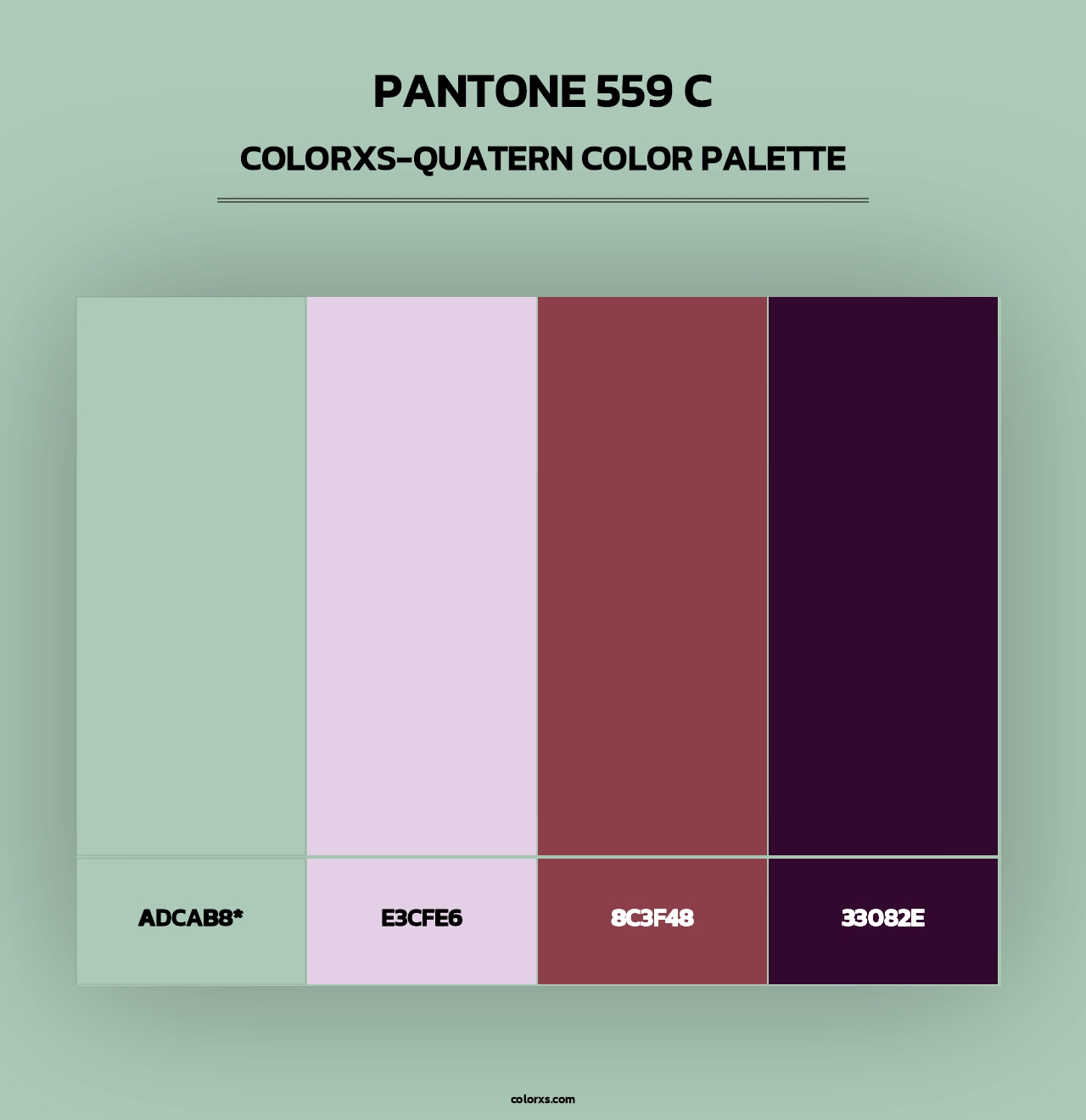 PANTONE 559 C - Colorxs Quad Palette