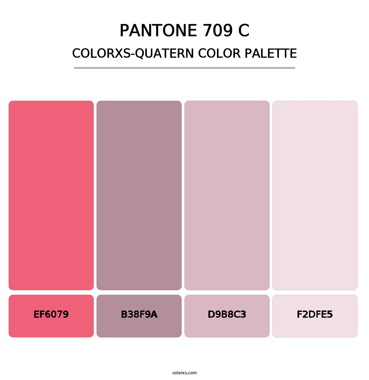PANTONE 709 C - Colorxs Quatern Palette