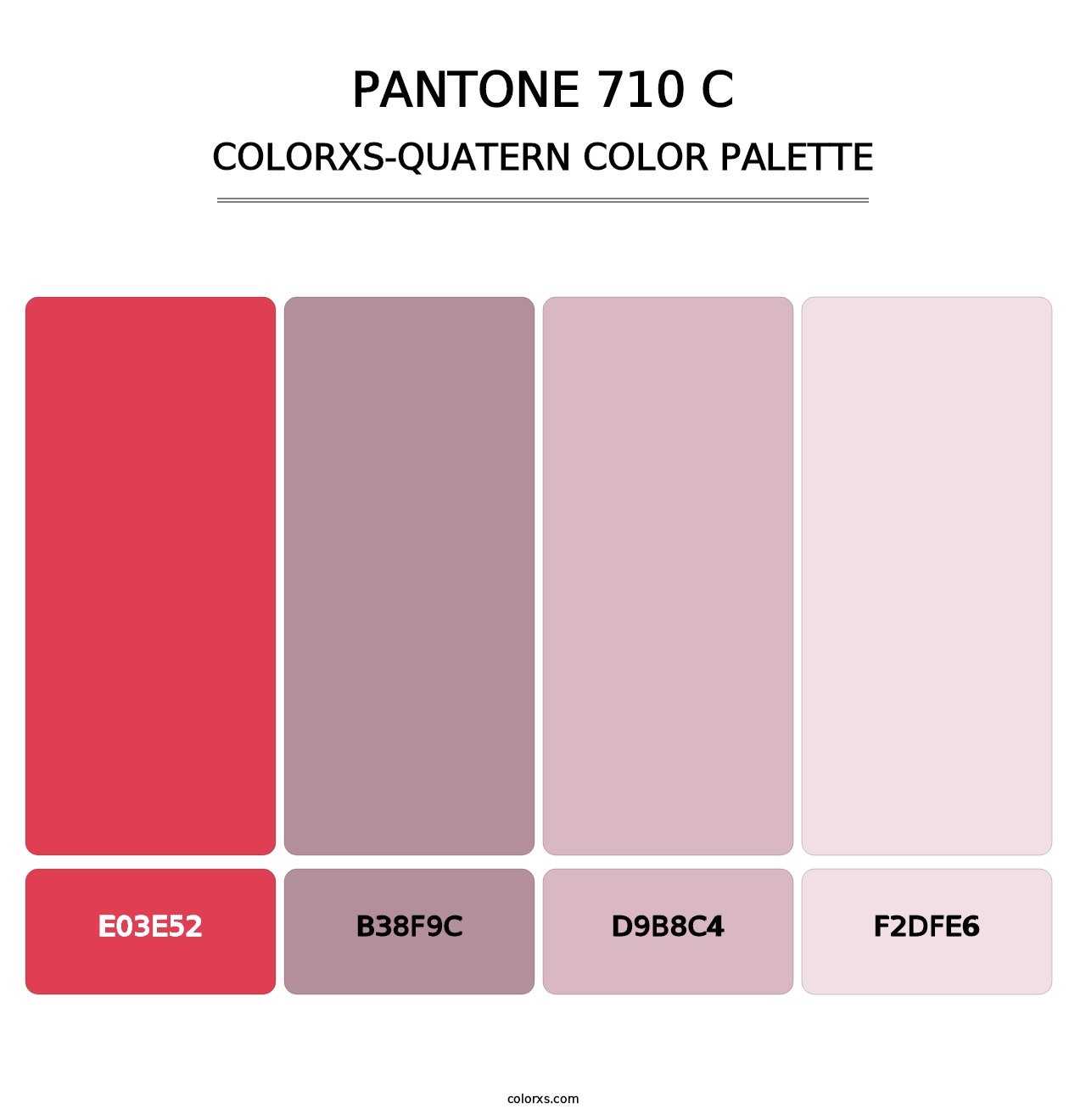 PANTONE 710 C - Colorxs Quatern Palette