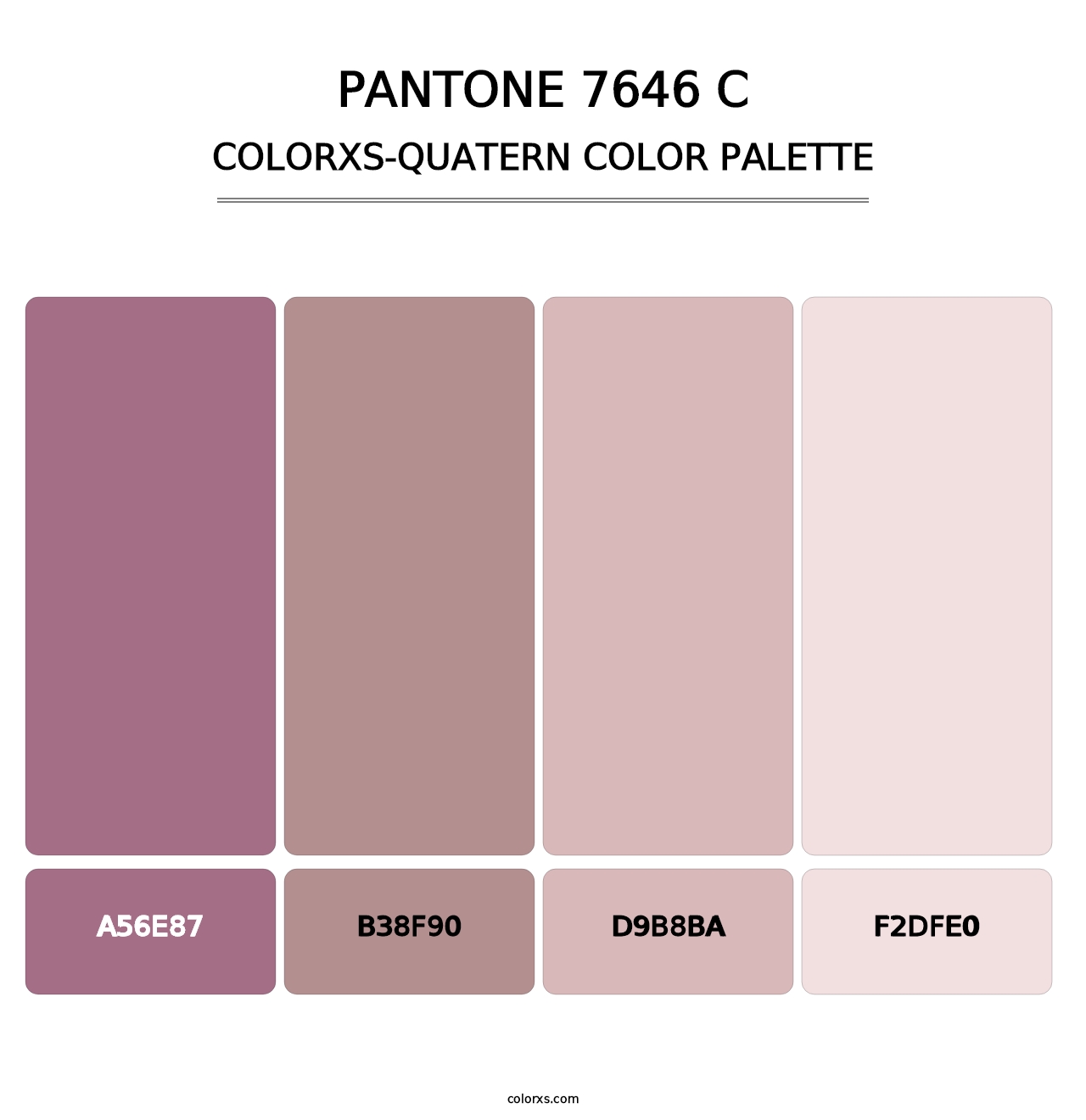 PANTONE 7646 C - Colorxs Quatern Palette