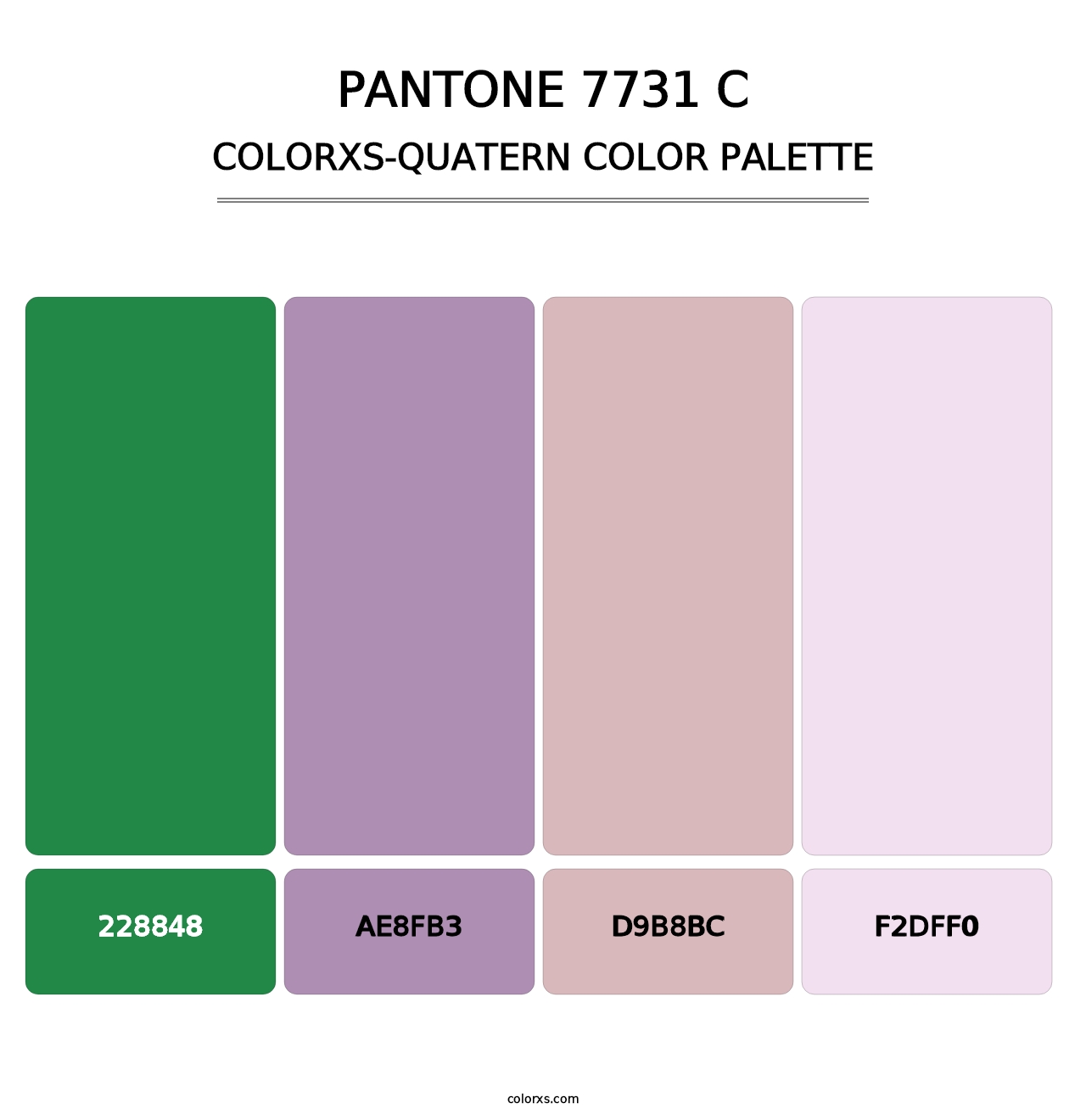 PANTONE 7731 C - Colorxs Quatern Palette