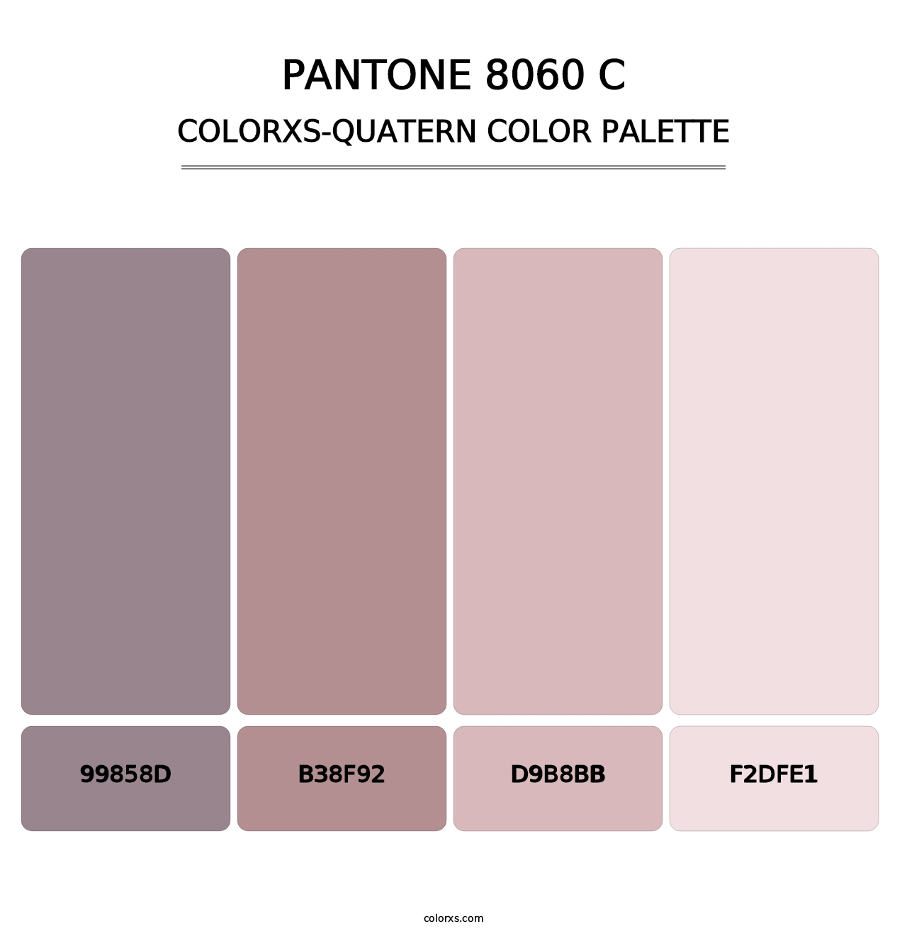 PANTONE 8060 C - Colorxs Quatern Palette
