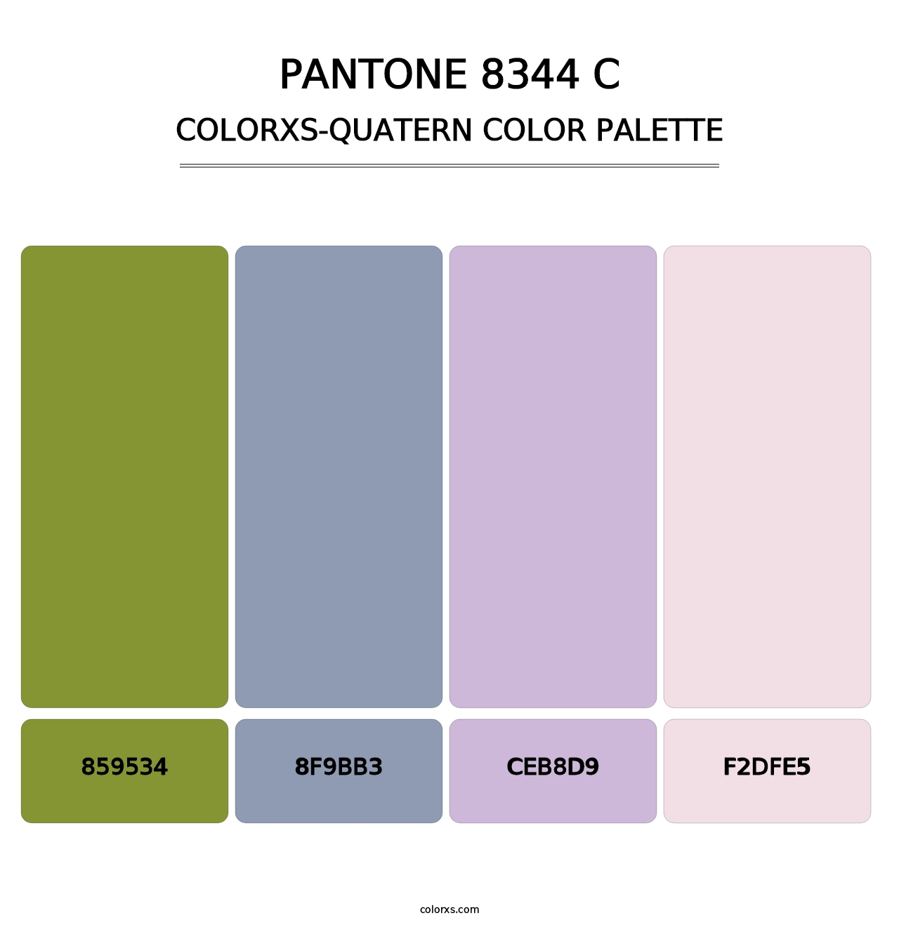 PANTONE 8344 C - Colorxs Quatern Palette