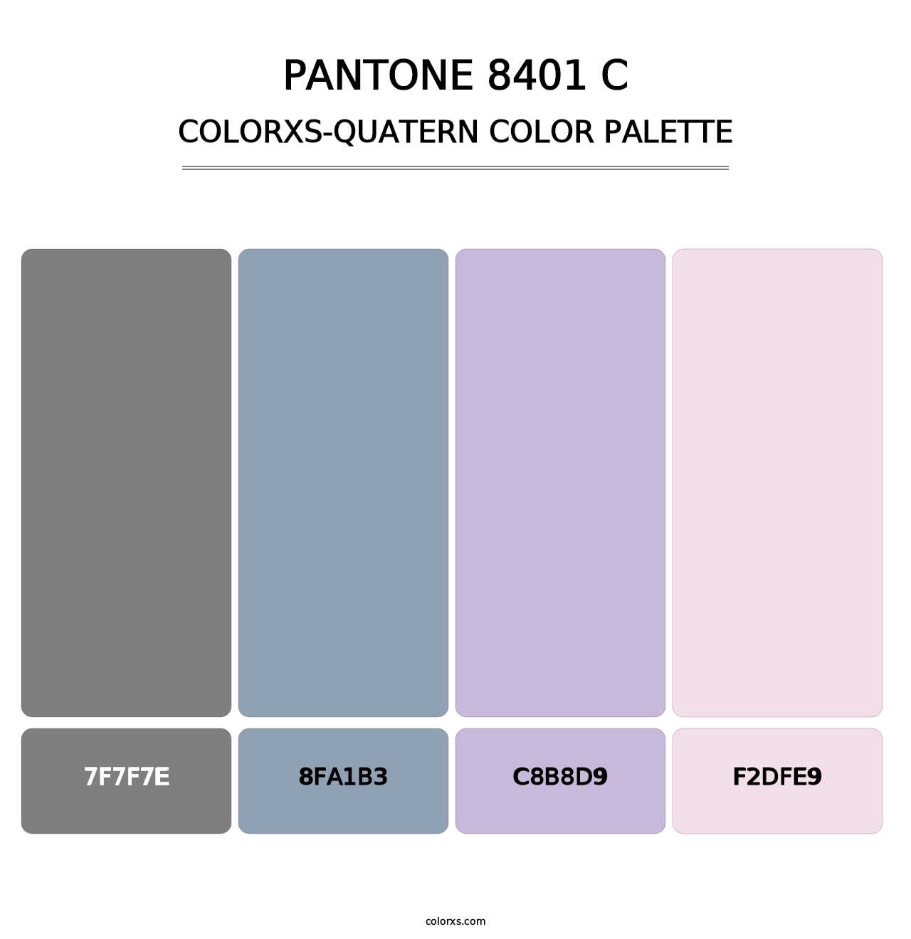 PANTONE 8401 C - Colorxs Quatern Palette