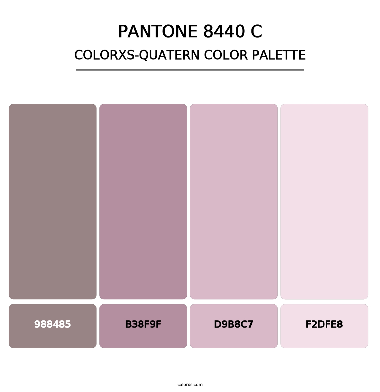 PANTONE 8440 C - Colorxs Quatern Palette