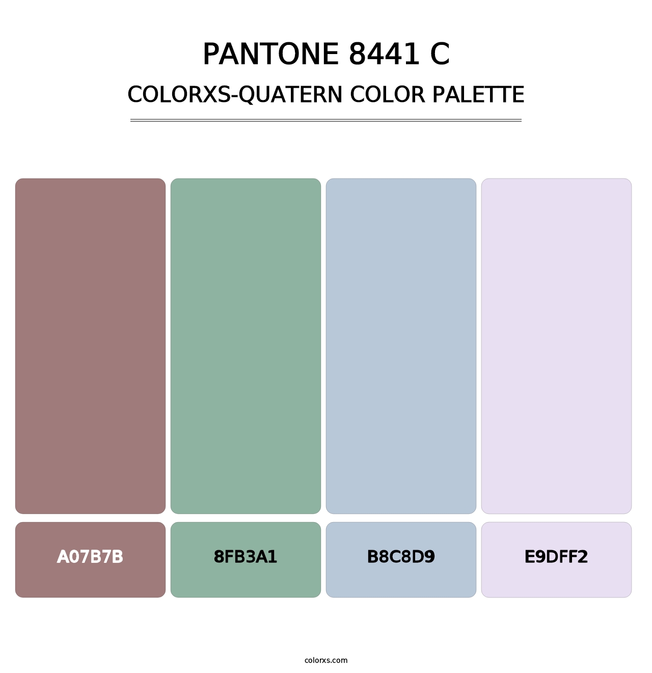 PANTONE 8441 C - Colorxs Quatern Palette
