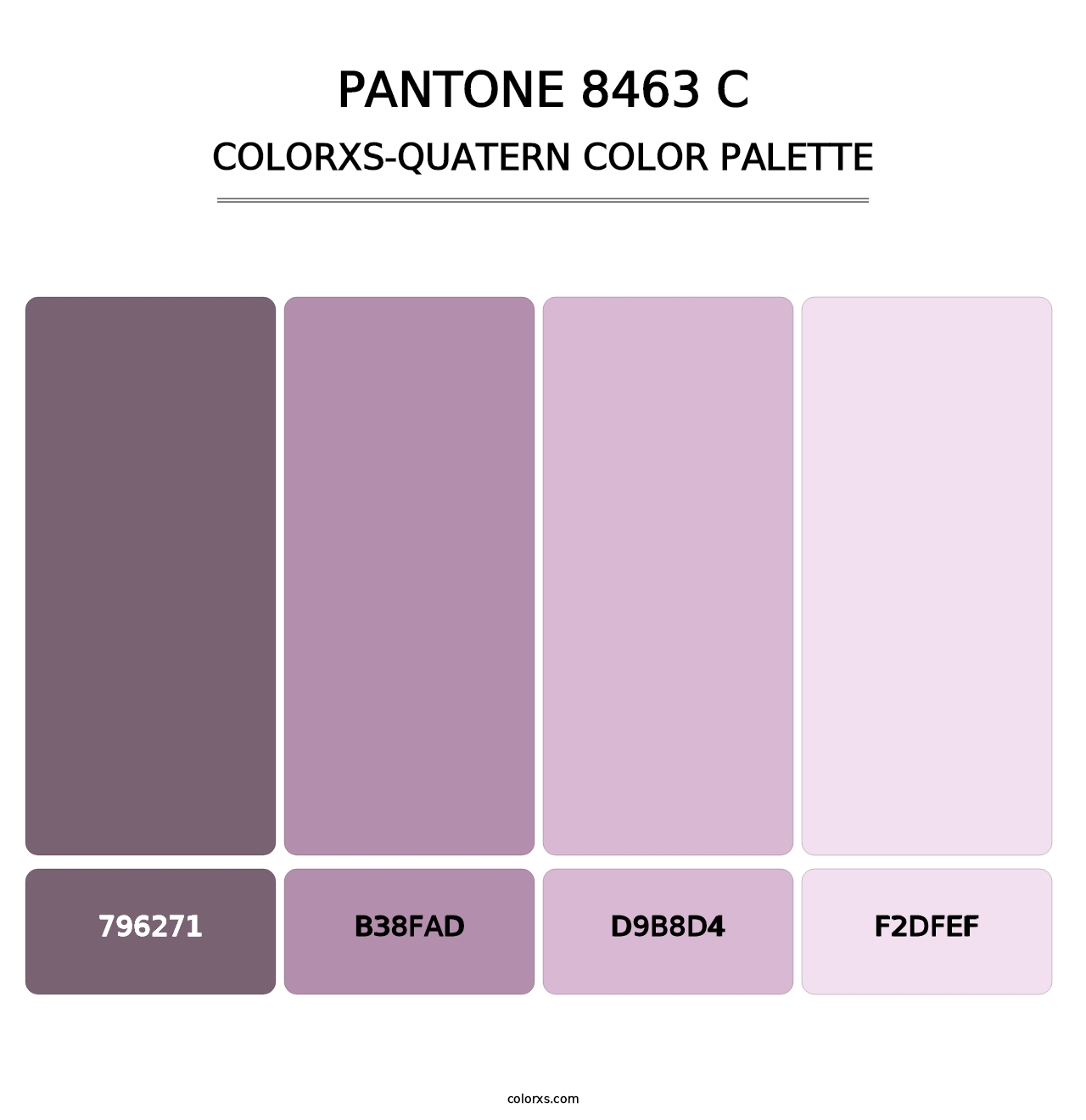 PANTONE 8463 C - Colorxs Quatern Palette