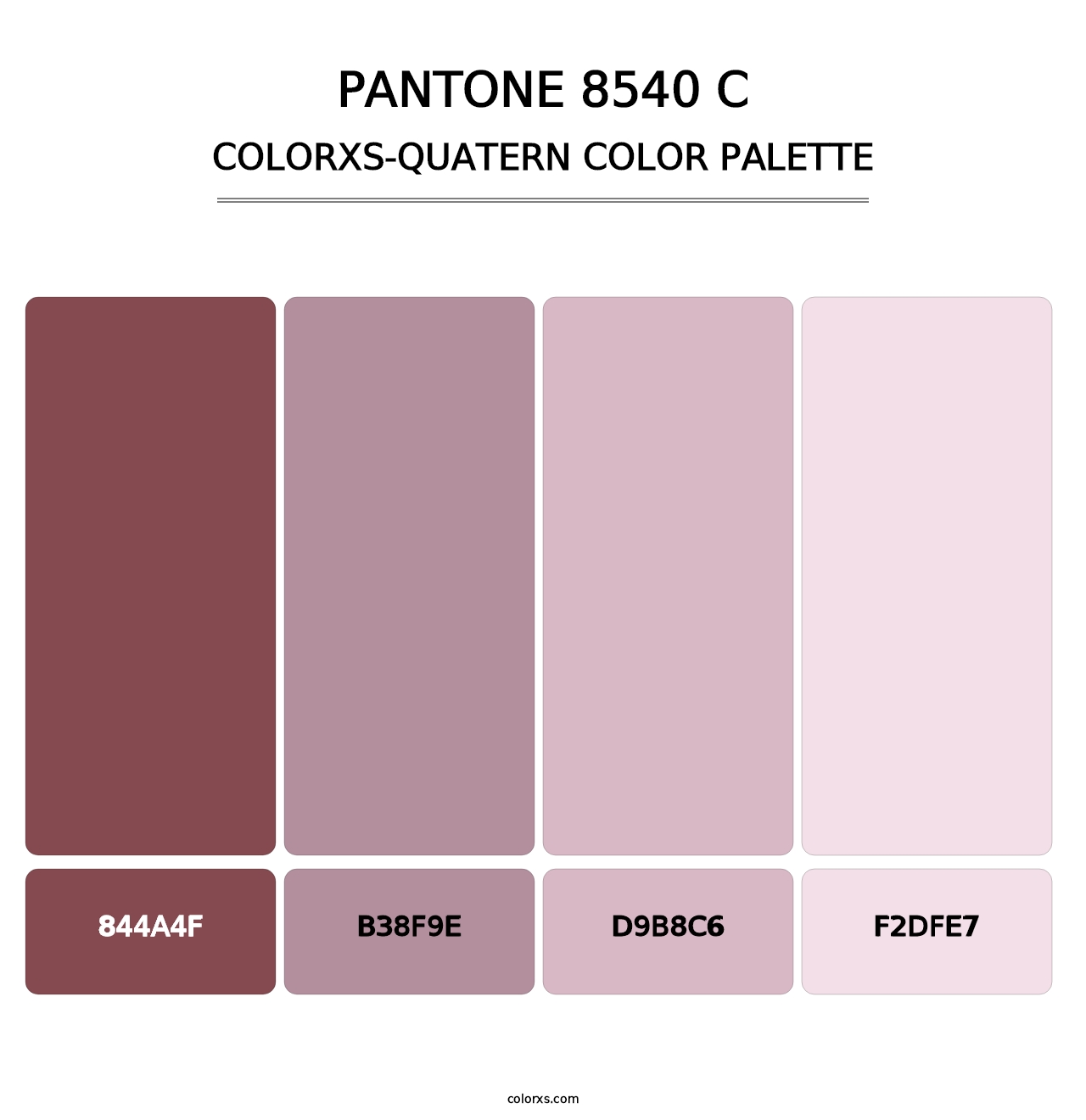 PANTONE 8540 C - Colorxs Quatern Palette