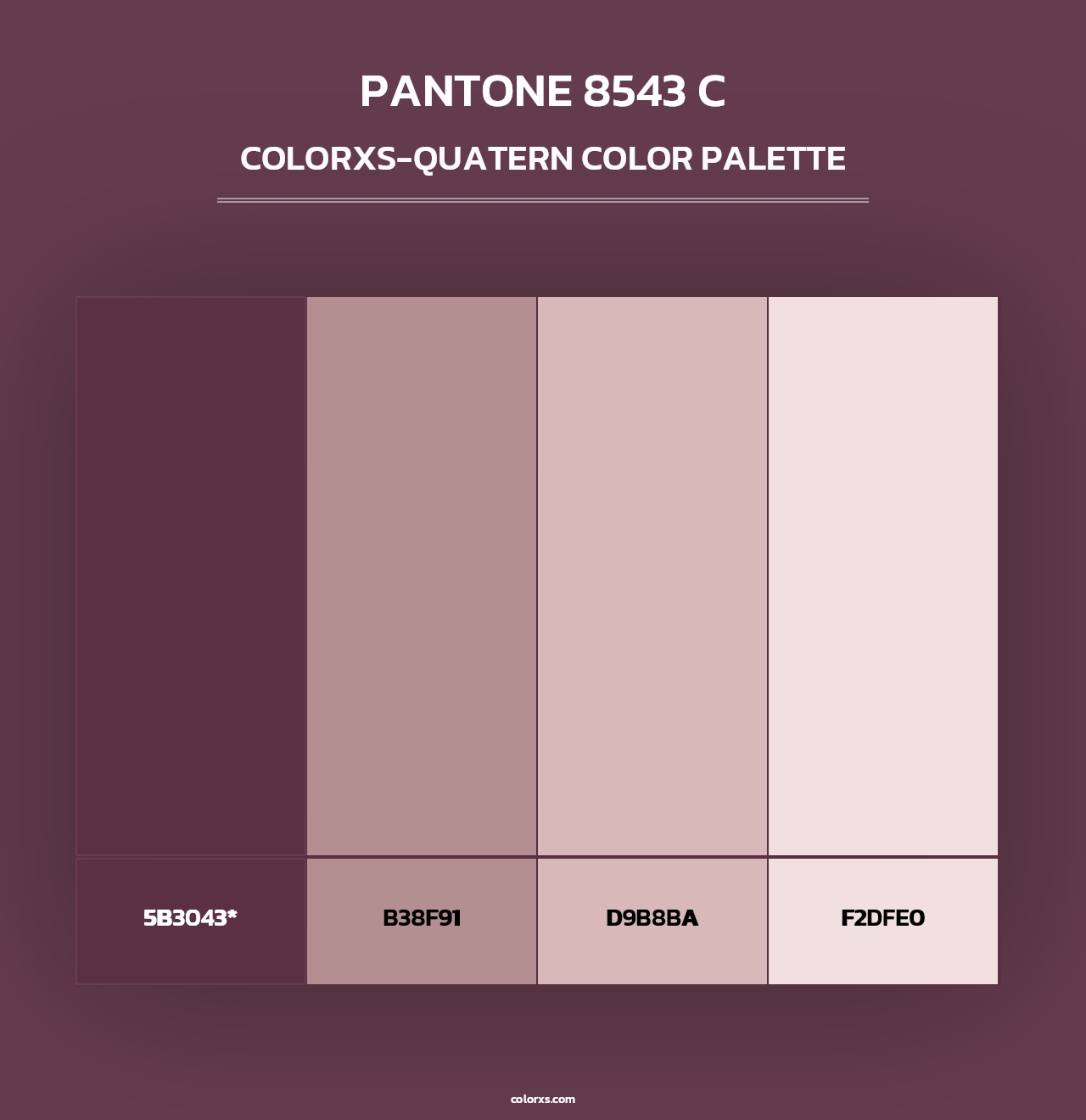 PANTONE 8543 C - Colorxs Quad Palette