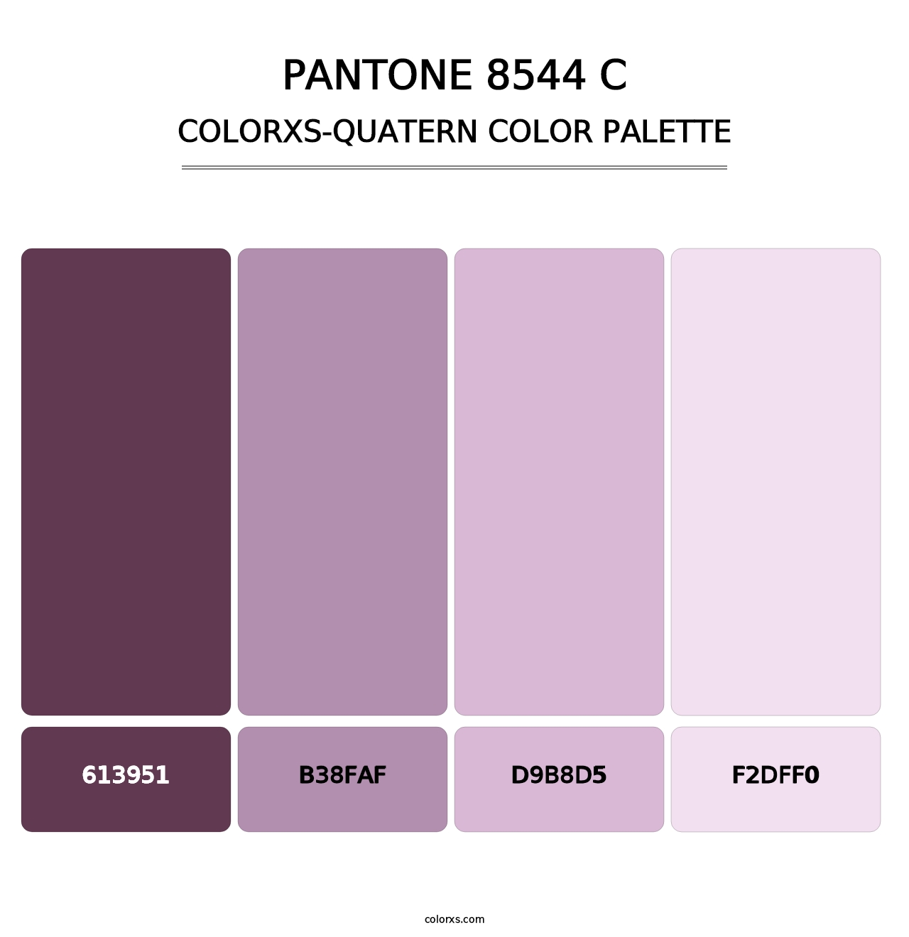 PANTONE 8544 C - Colorxs Quatern Palette