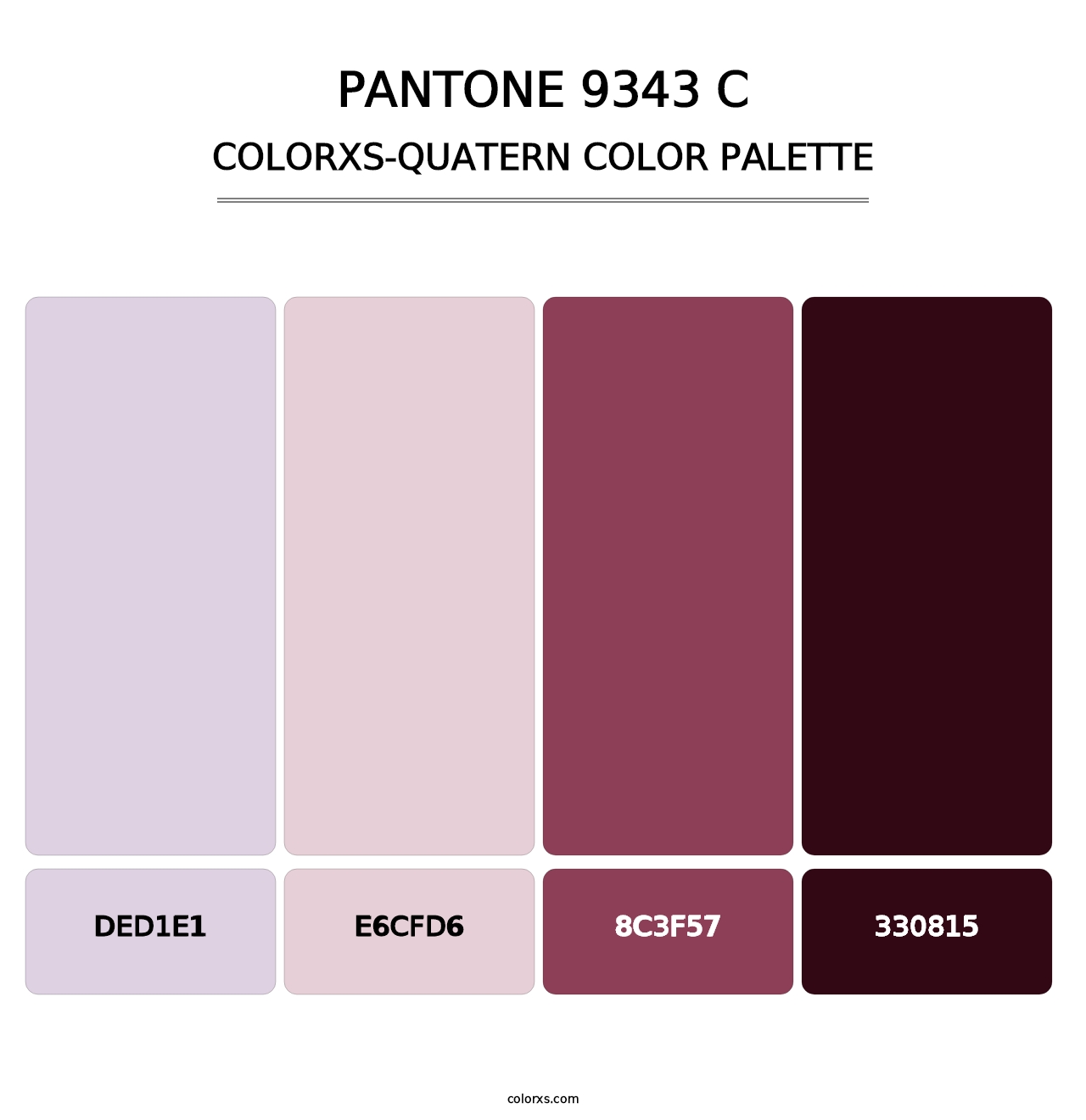 PANTONE 9343 C - Colorxs Quatern Palette