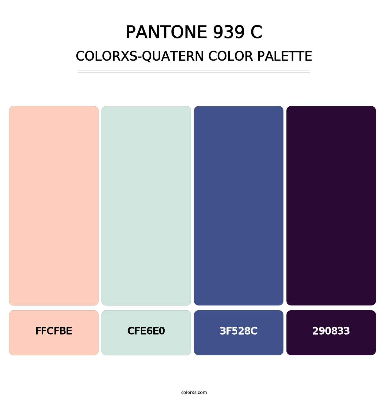 PANTONE 939 C - Colorxs Quatern Palette