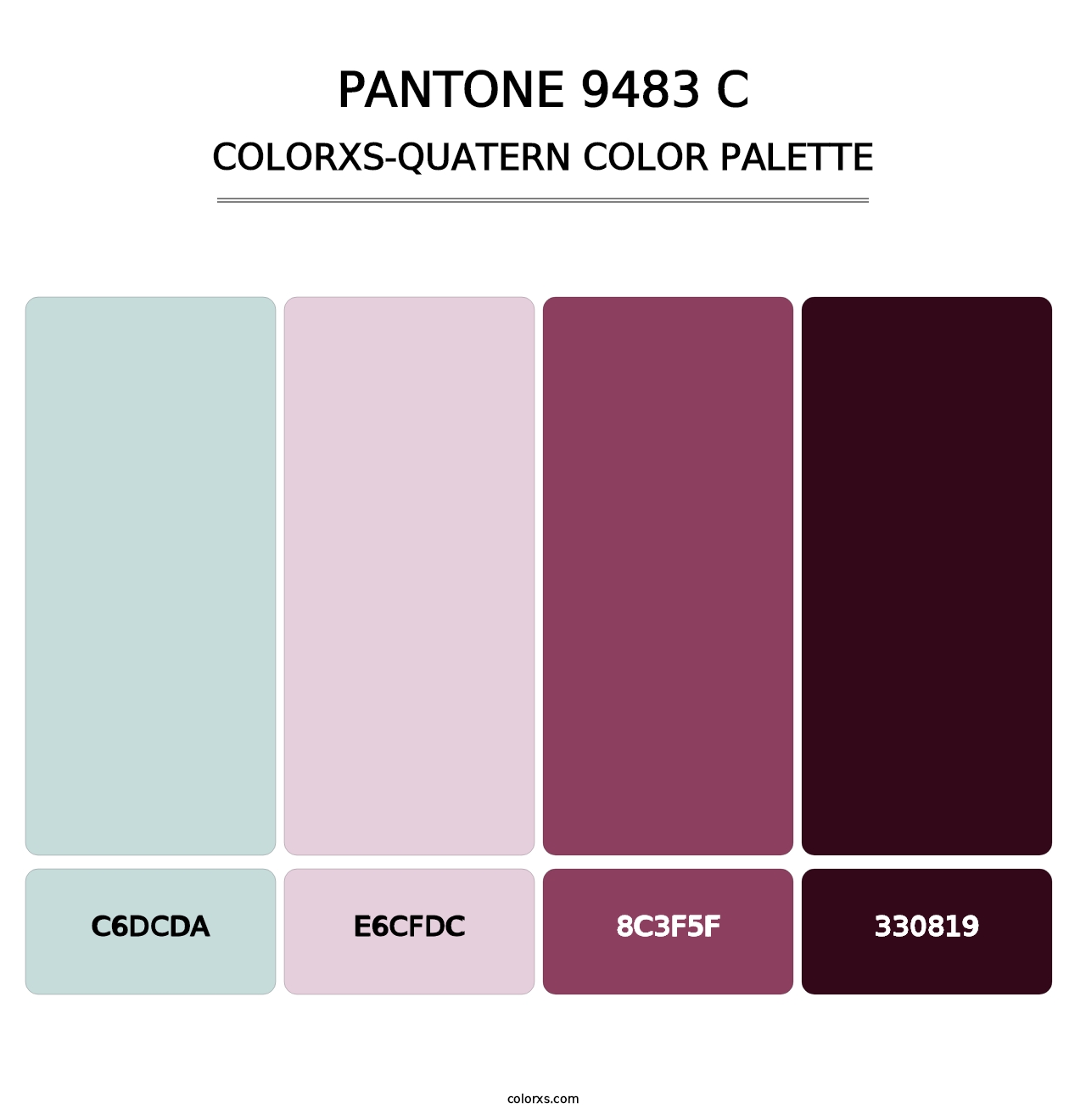 PANTONE 9483 C - Colorxs Quatern Palette