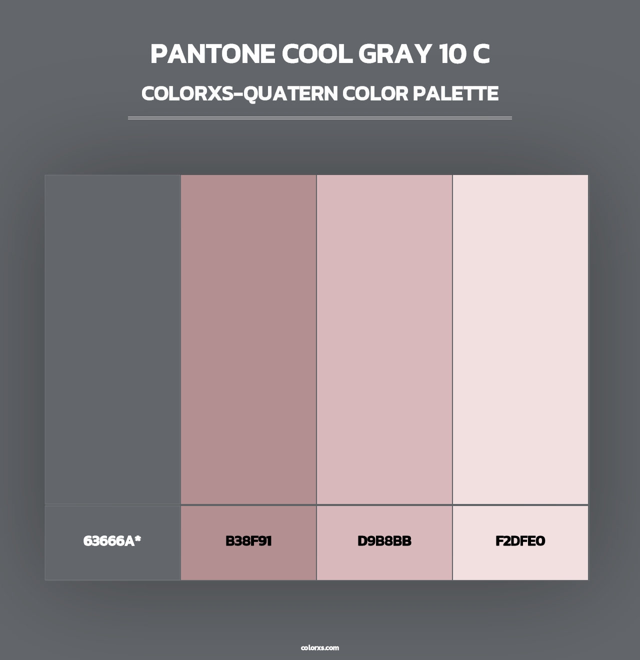 PANTONE Cool Gray 10 C - Colorxs Quad Palette