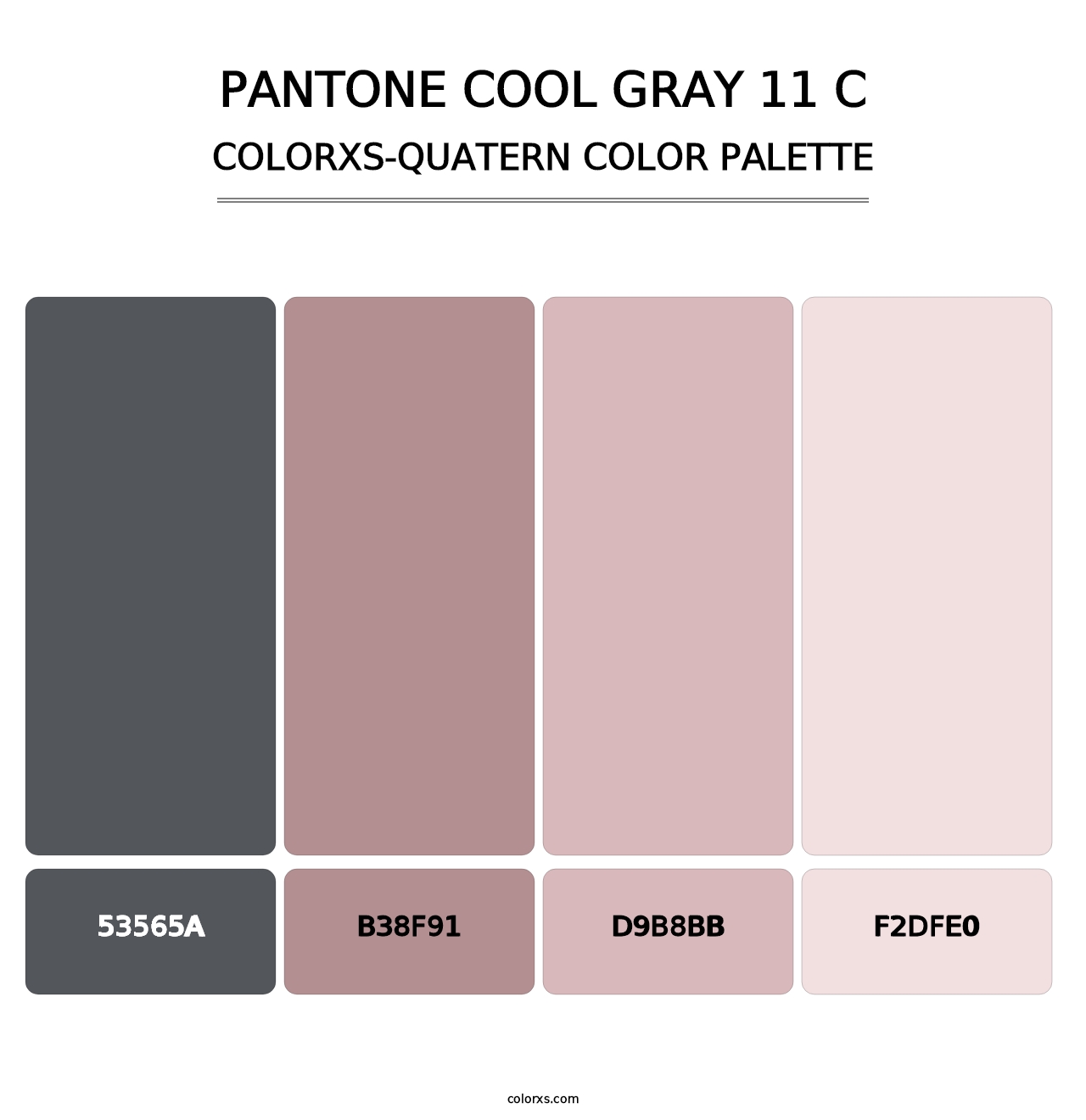 PANTONE Cool Gray 11 C - Colorxs Quatern Palette