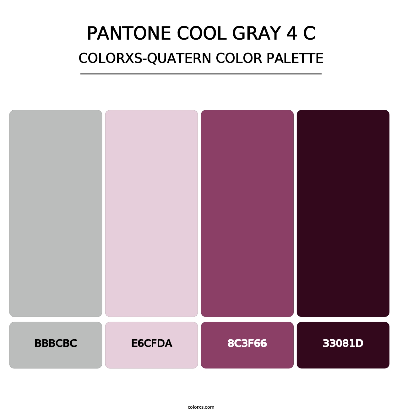 PANTONE Cool Gray 4 C - Colorxs Quatern Palette