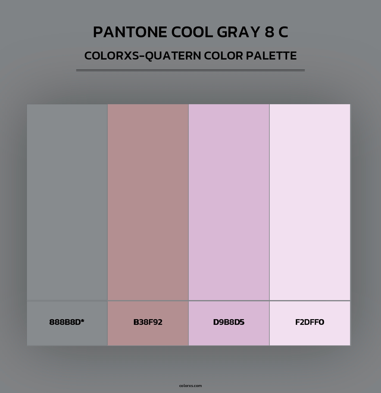 PANTONE Cool Gray 8 C - Colorxs Quad Palette