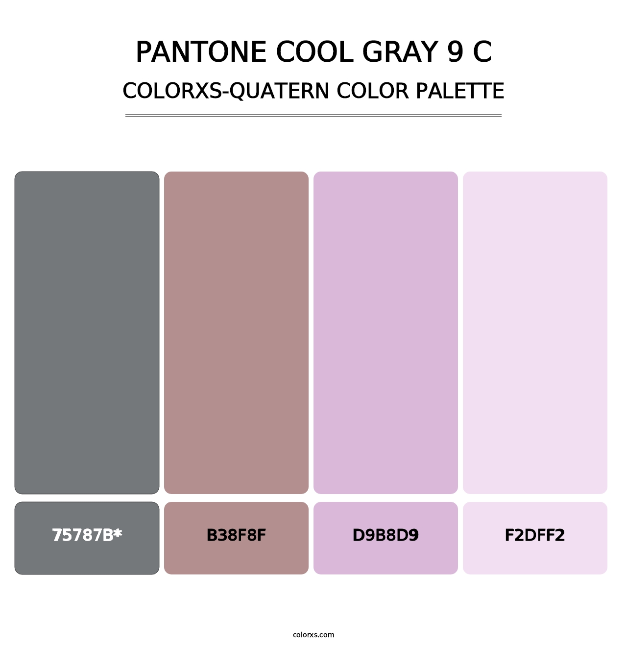 PANTONE Cool Gray 9 C - Colorxs Quatern Palette