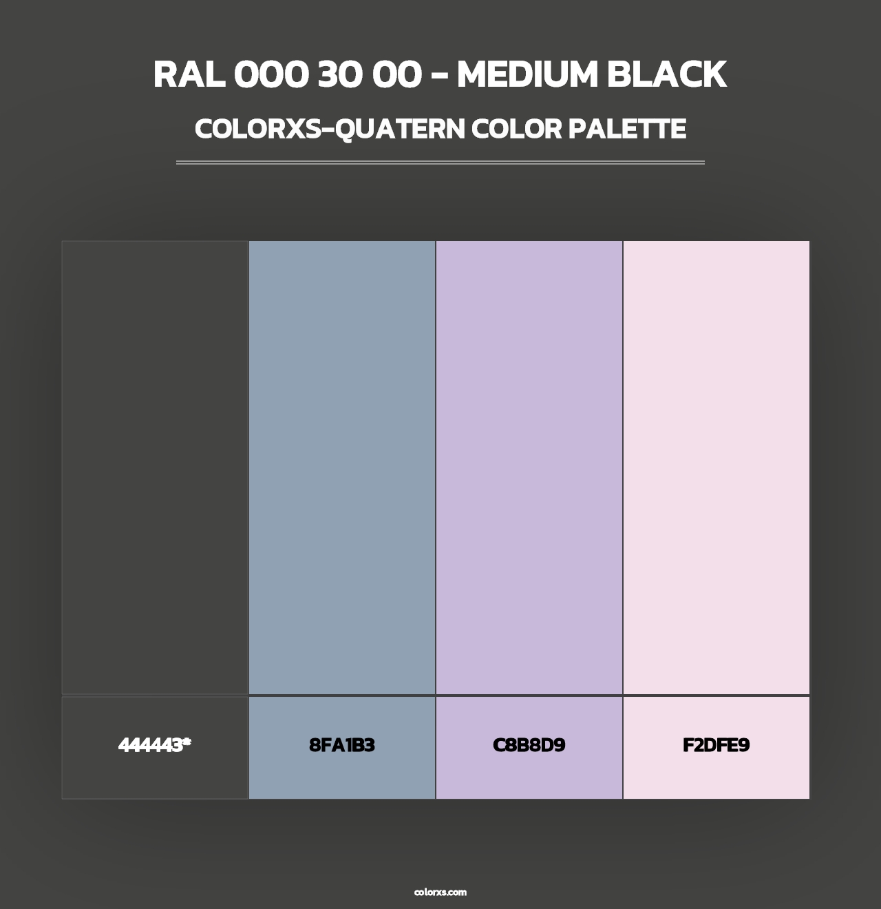 RAL 000 30 00 - Medium Black - Colorxs Quad Palette