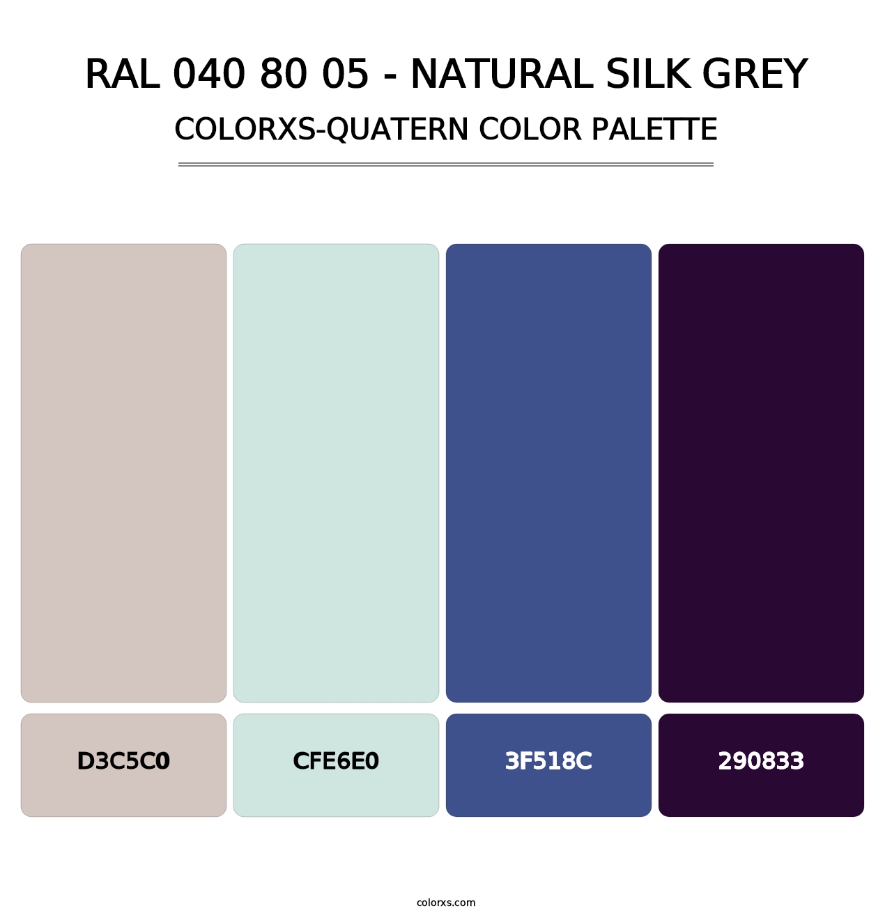 RAL 040 80 05 - Natural Silk Grey - Colorxs Quatern Palette