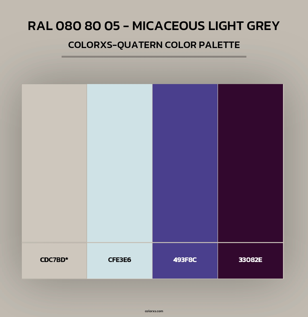 RAL 080 80 05 - Micaceous Light Grey - Colorxs Quad Palette