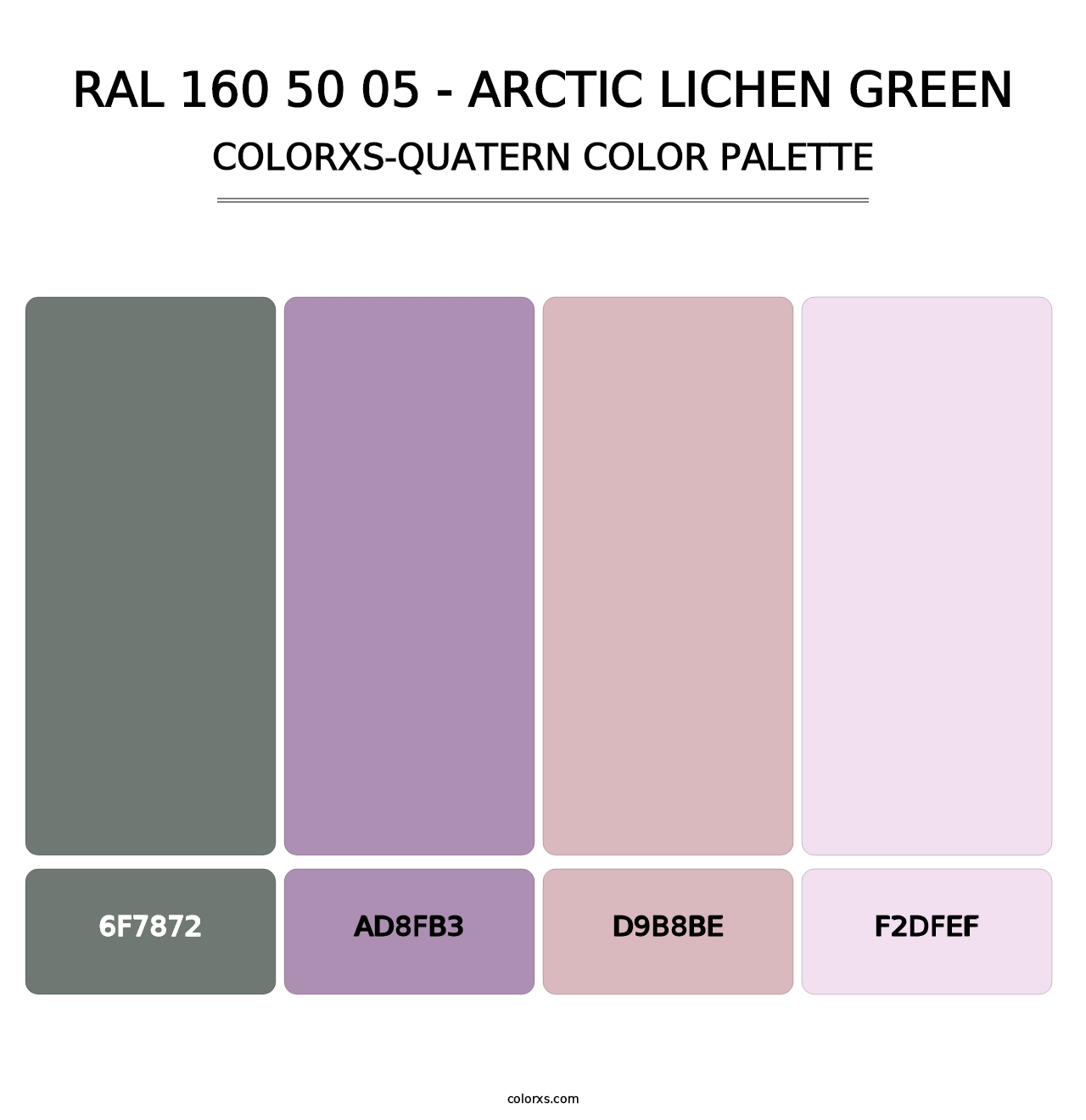 RAL 160 50 05 - Arctic Lichen Green - Colorxs Quatern Palette