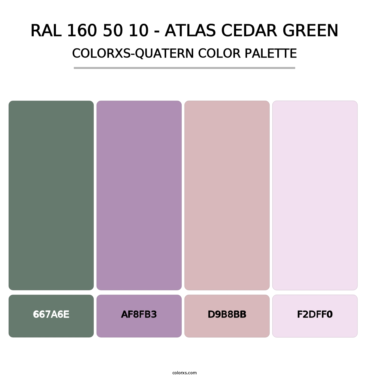 RAL 160 50 10 - Atlas Cedar Green - Colorxs Quatern Palette