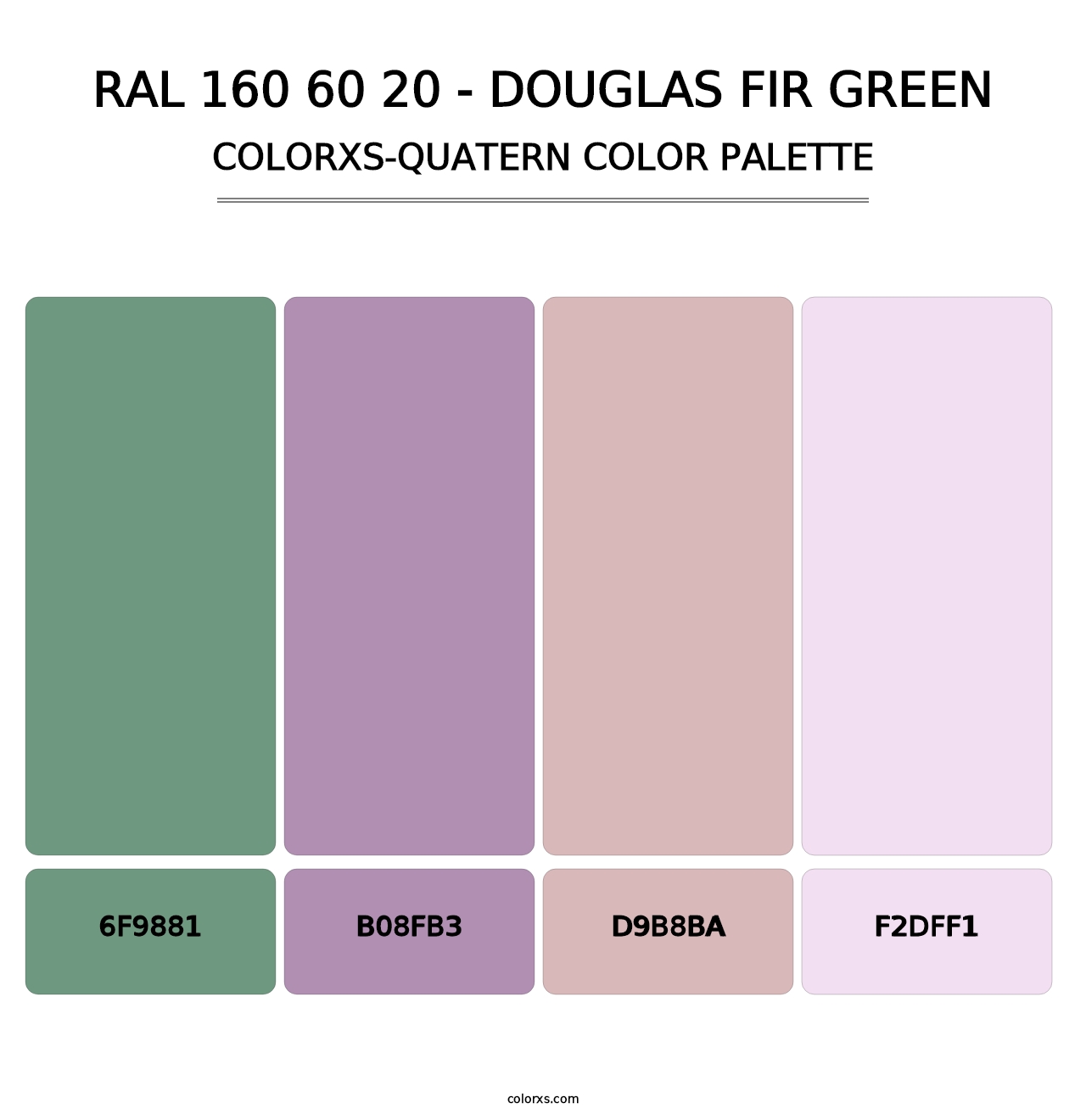 RAL 160 60 20 - Douglas Fir Green - Colorxs Quatern Palette