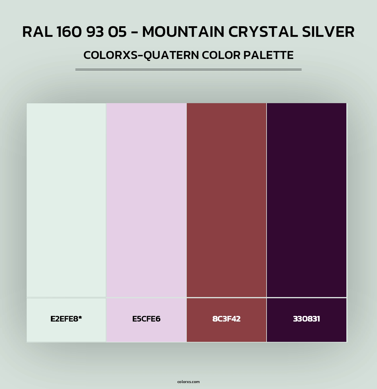 RAL 160 93 05 - Mountain Crystal Silver - Colorxs Quad Palette