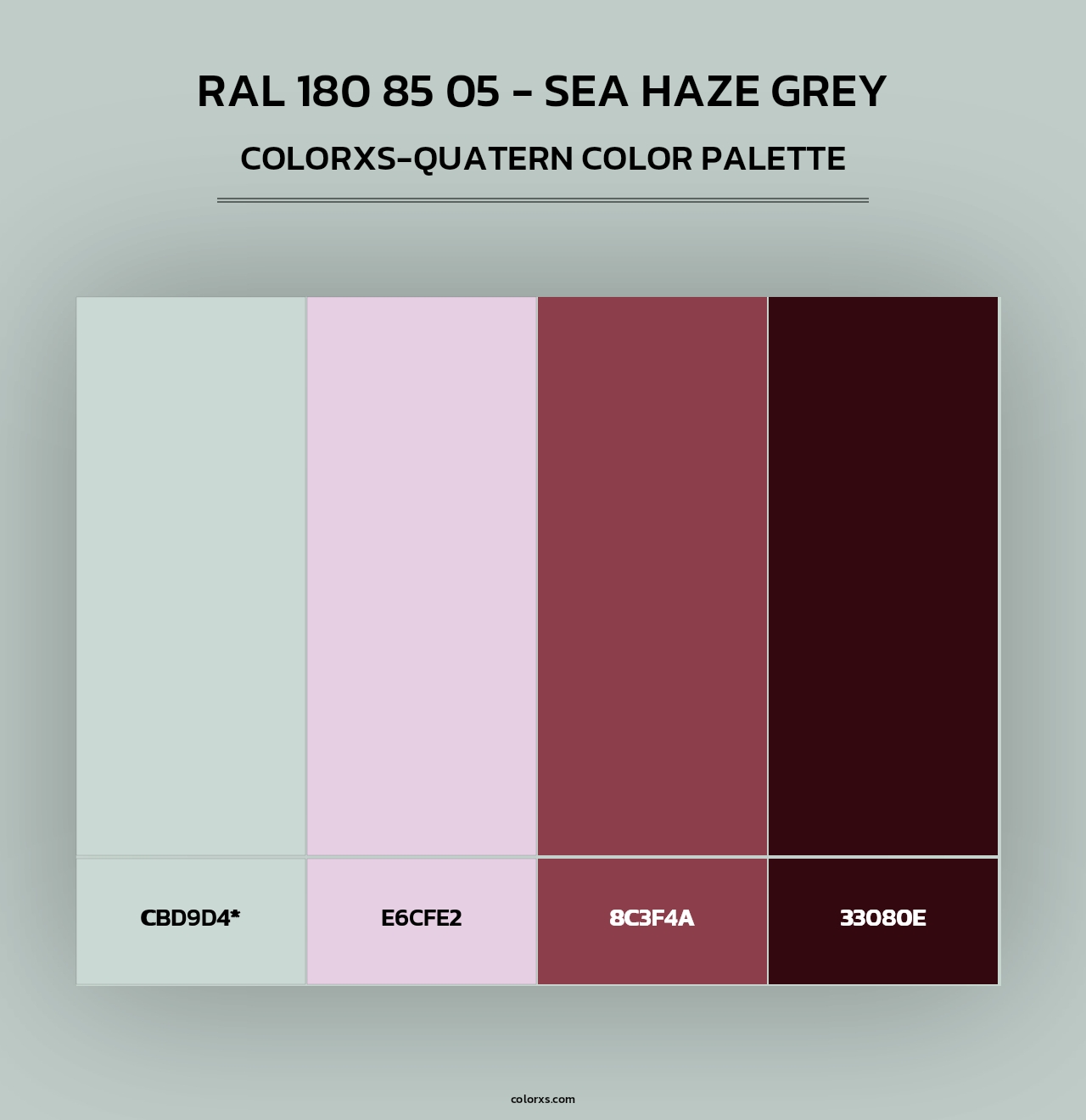 RAL 180 85 05 - Sea Haze Grey - Colorxs Quad Palette