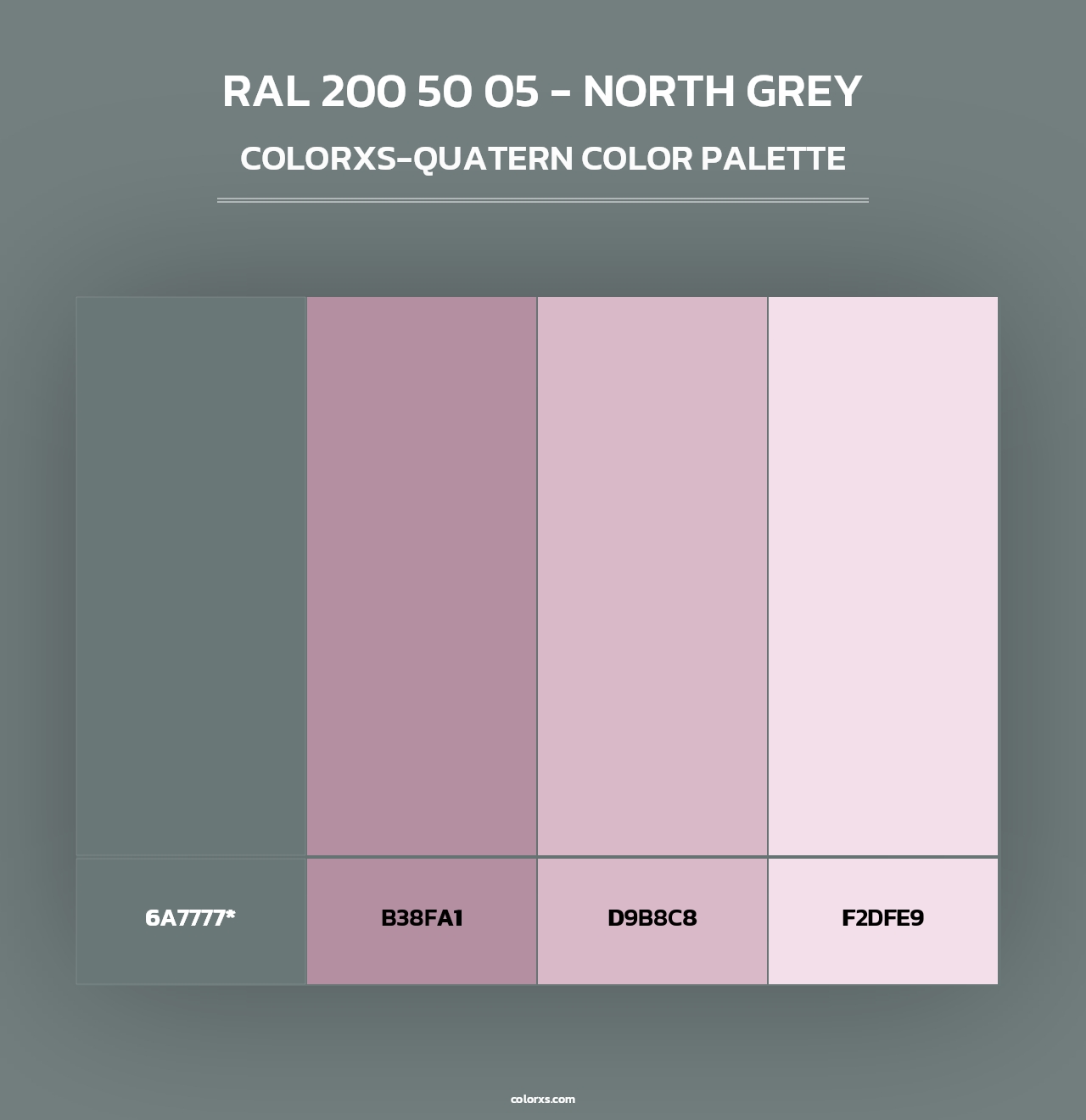 RAL 200 50 05 - North Grey - Colorxs Quad Palette