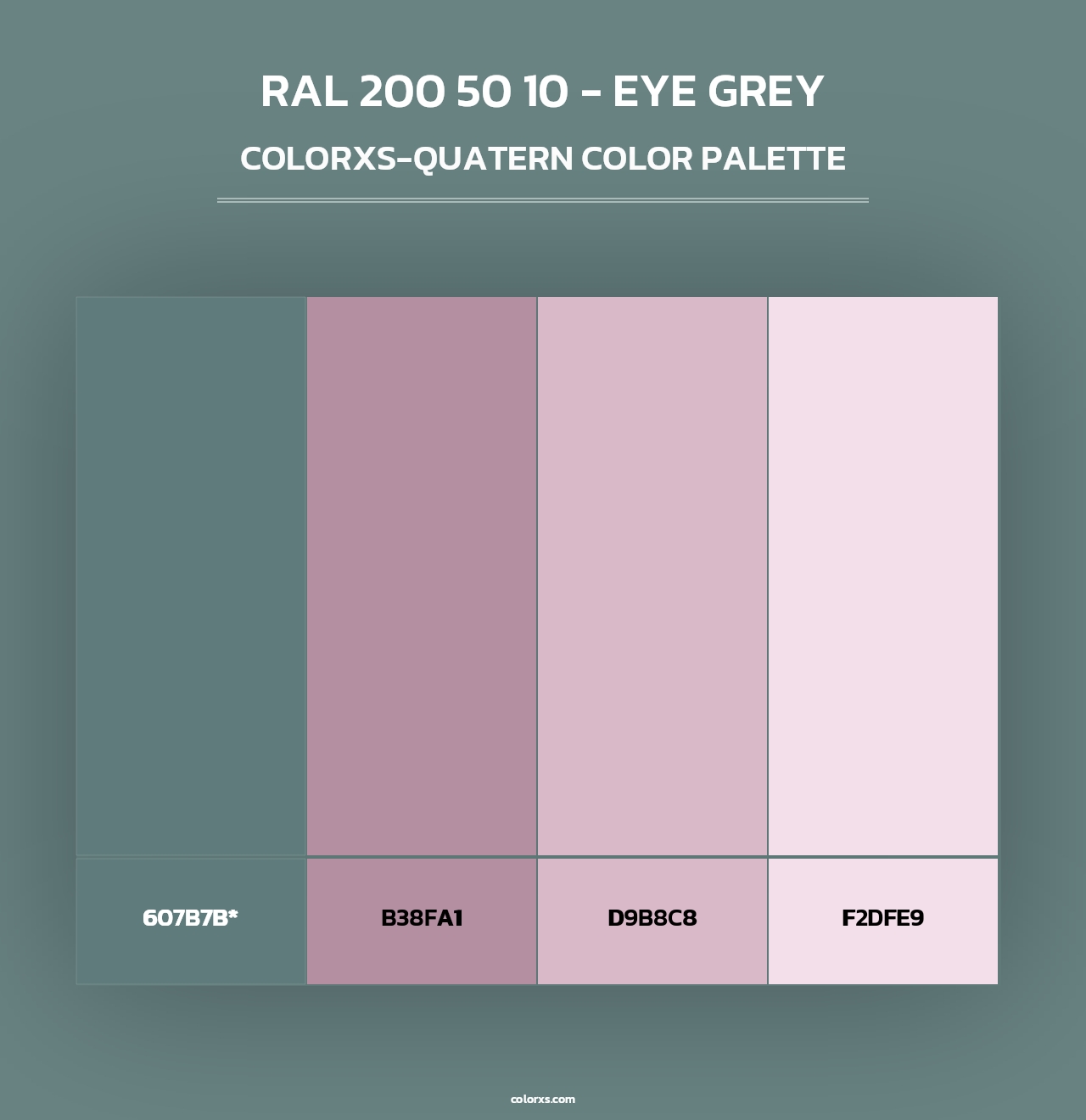 RAL 200 50 10 - Eye Grey - Colorxs Quad Palette
