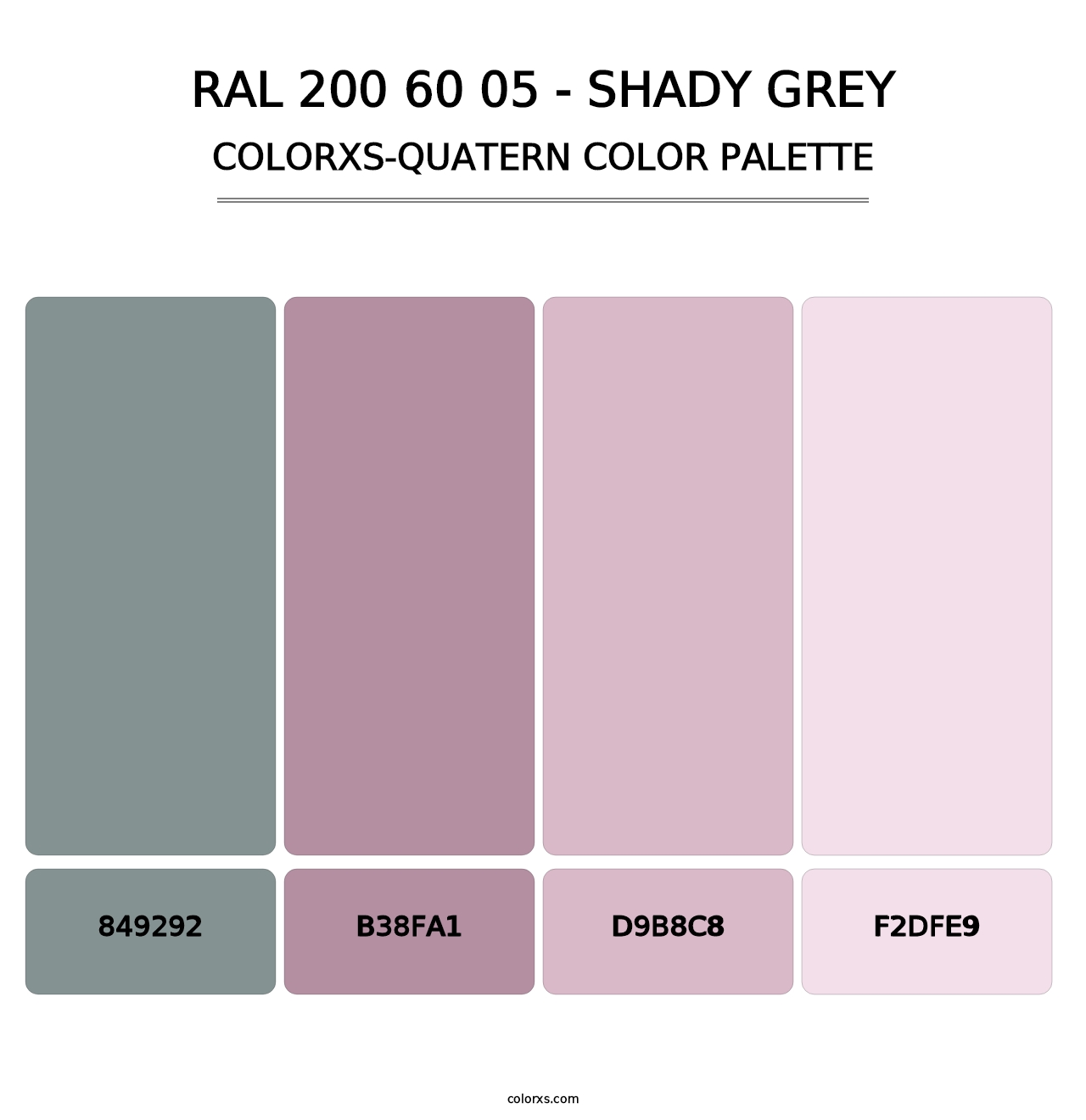 RAL 200 60 05 - Shady Grey - Colorxs Quatern Palette
