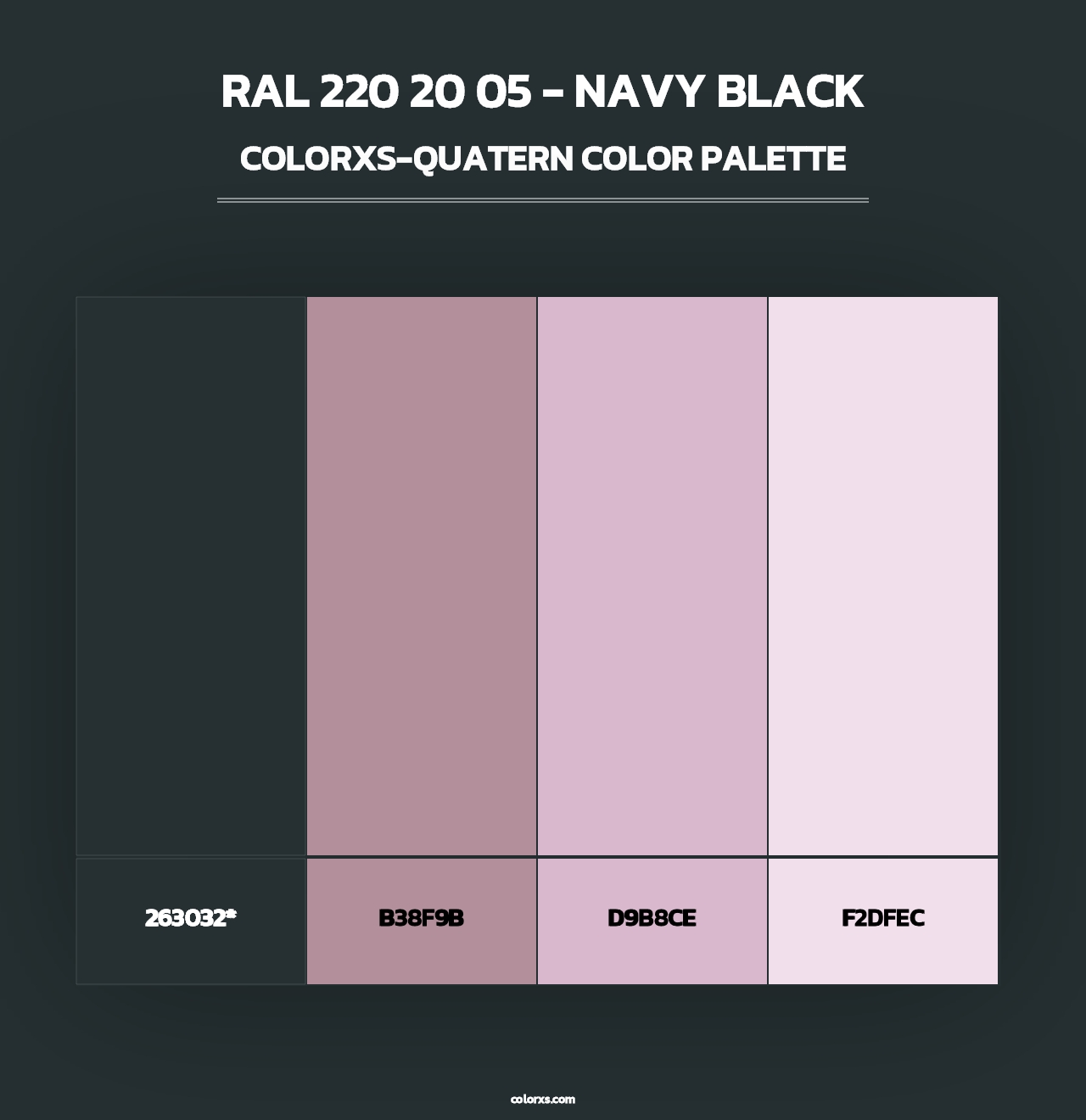 RAL 220 20 05 - Navy Black - Colorxs Quad Palette