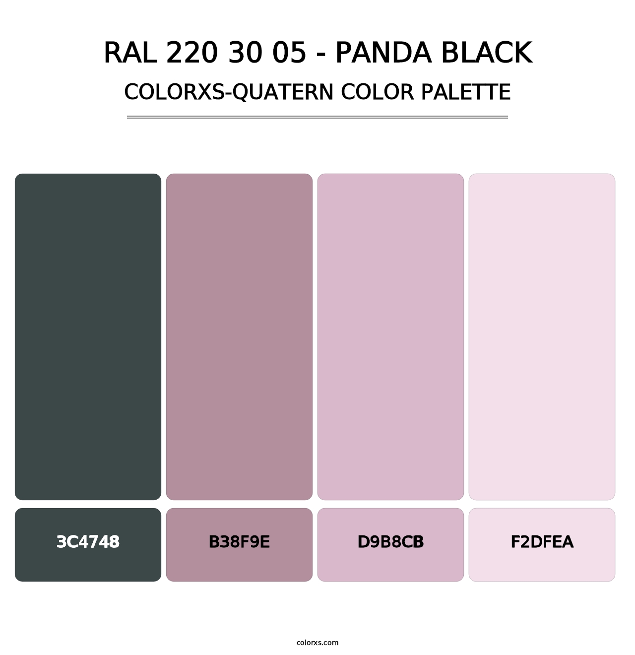 RAL 220 30 05 - Panda Black - Colorxs Quatern Palette
